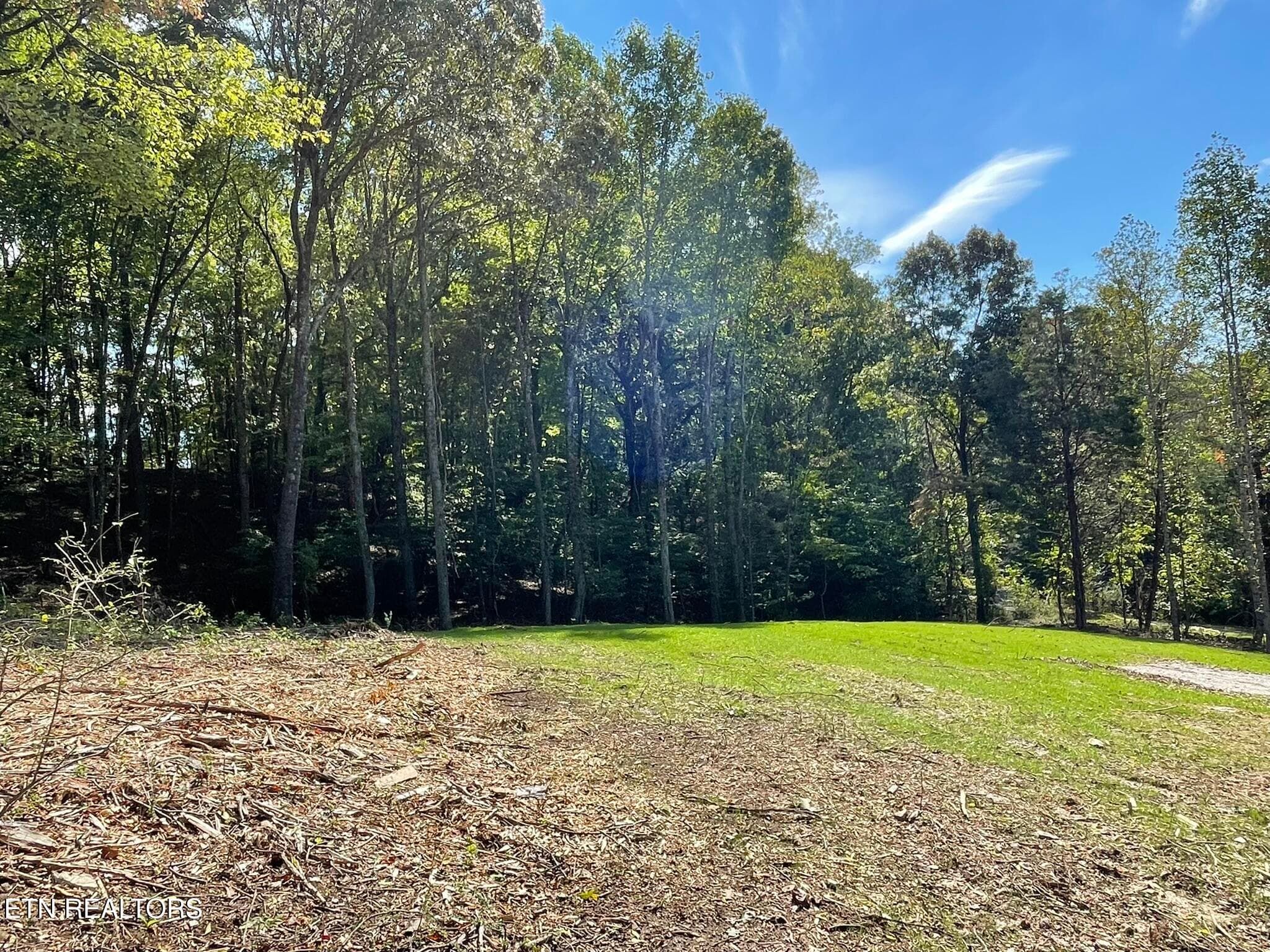 IMG_1335 - Williams Bend Rd Lot 2, Knoxville, TN 37932