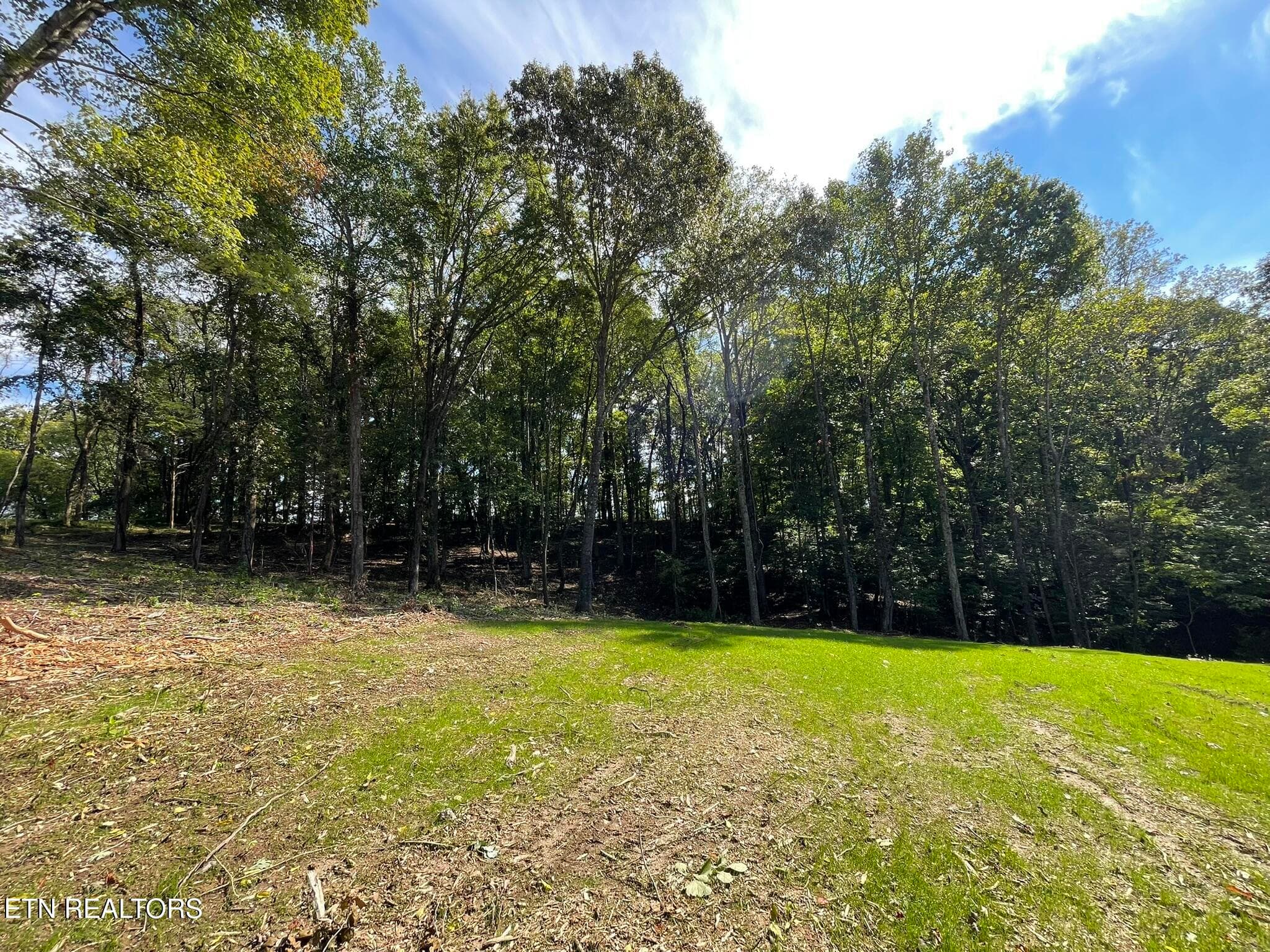 IMG_1337 - Williams Bend Rd Lot 2, Knoxville, TN 37932