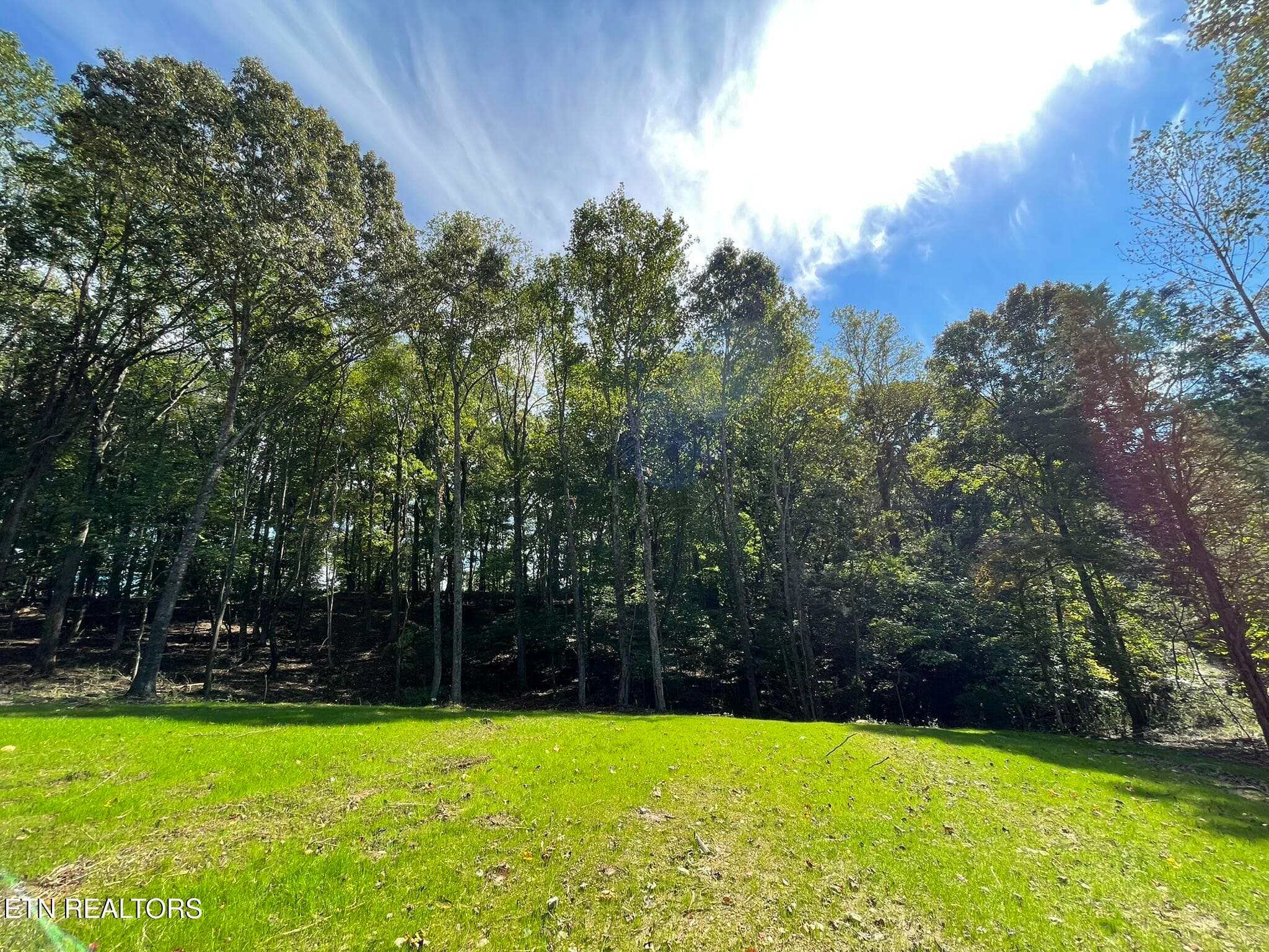 IMG_1339 - Williams Bend Rd Lot 2, Knoxville, TN 37932