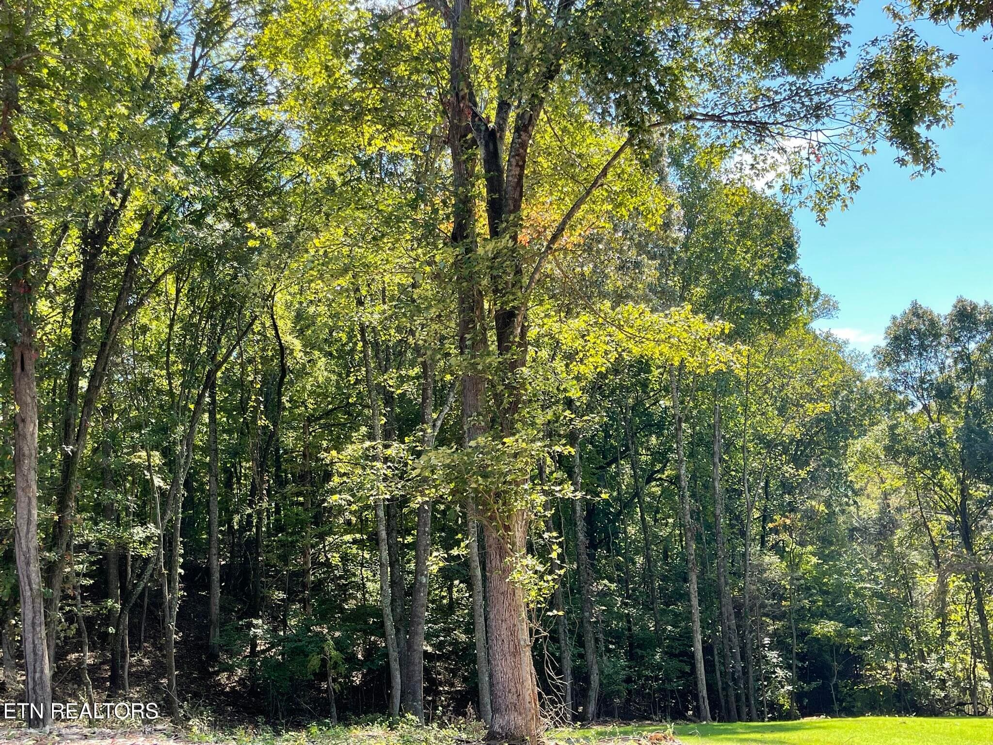 IMG_1359 - Williams Bend Rd Lot 2, Knoxville, TN 37932