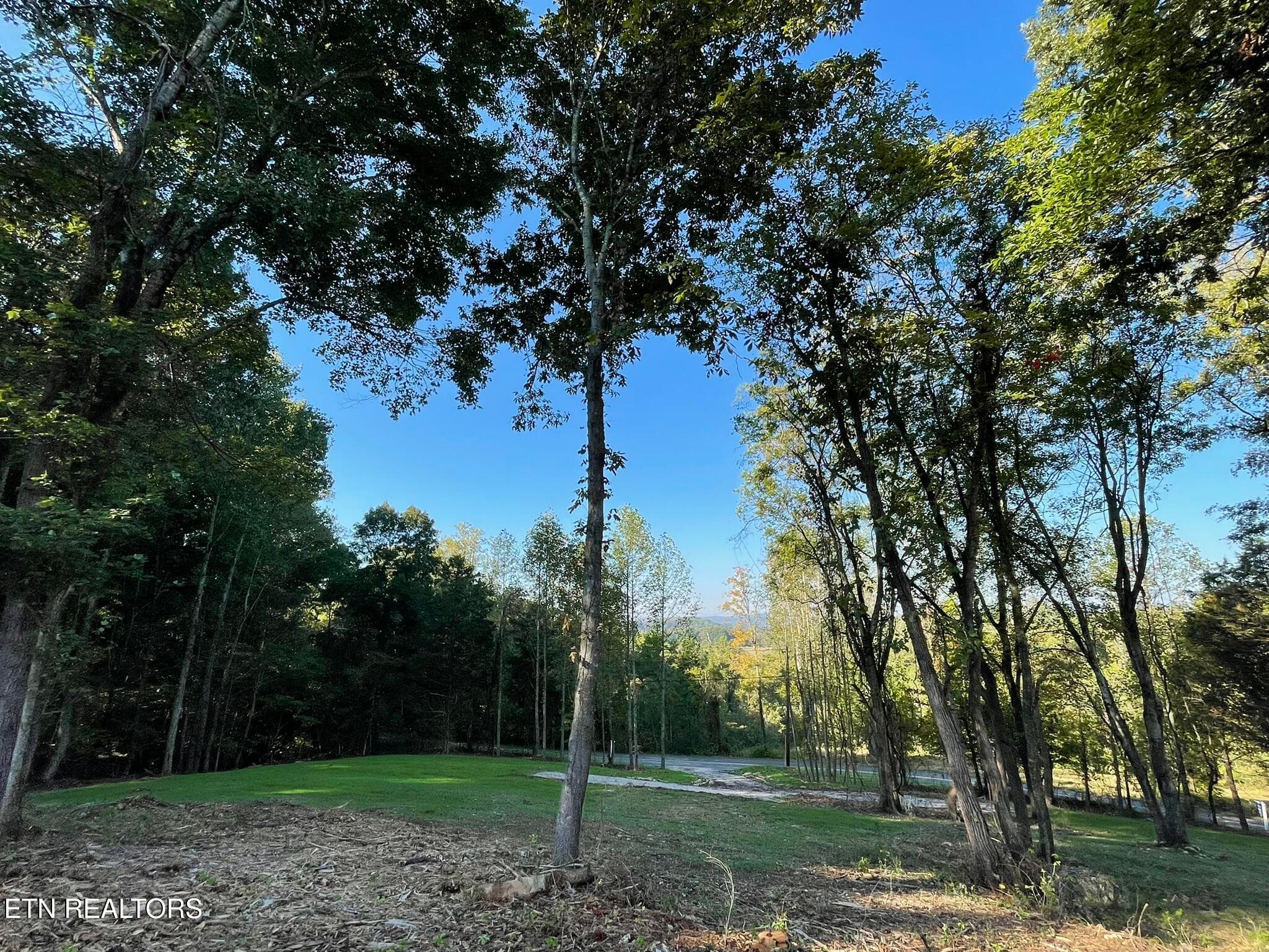 IMG_1375 - Williams Bend Rd Lot 2, Knoxville, TN 37932