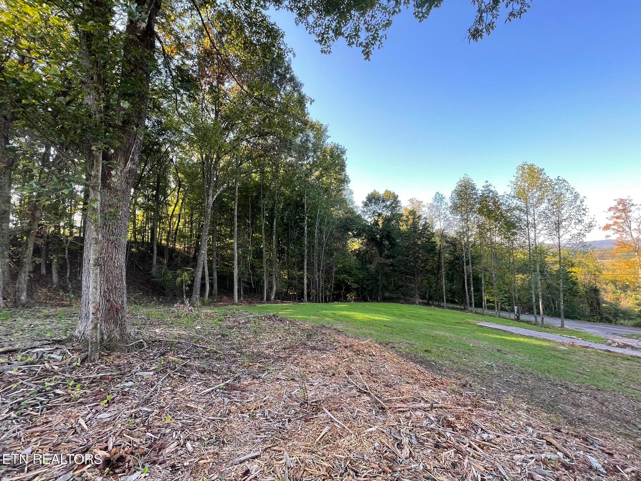 IMG_1377 - Williams Bend Rd Lot 2, Knoxville, TN 37932