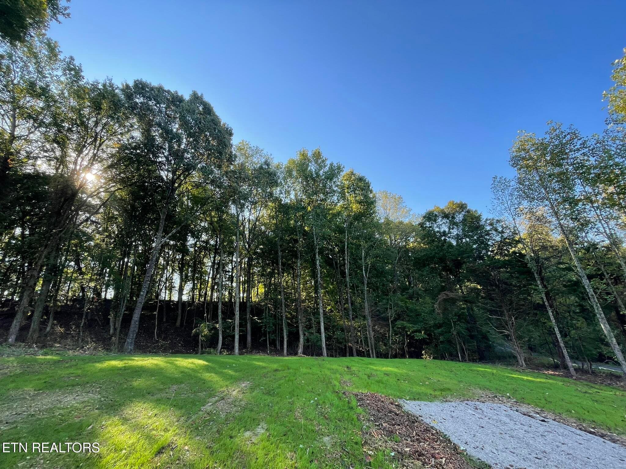 IMG_1384 - Williams Bend Rd Lot 2, Knoxville, TN 37932
