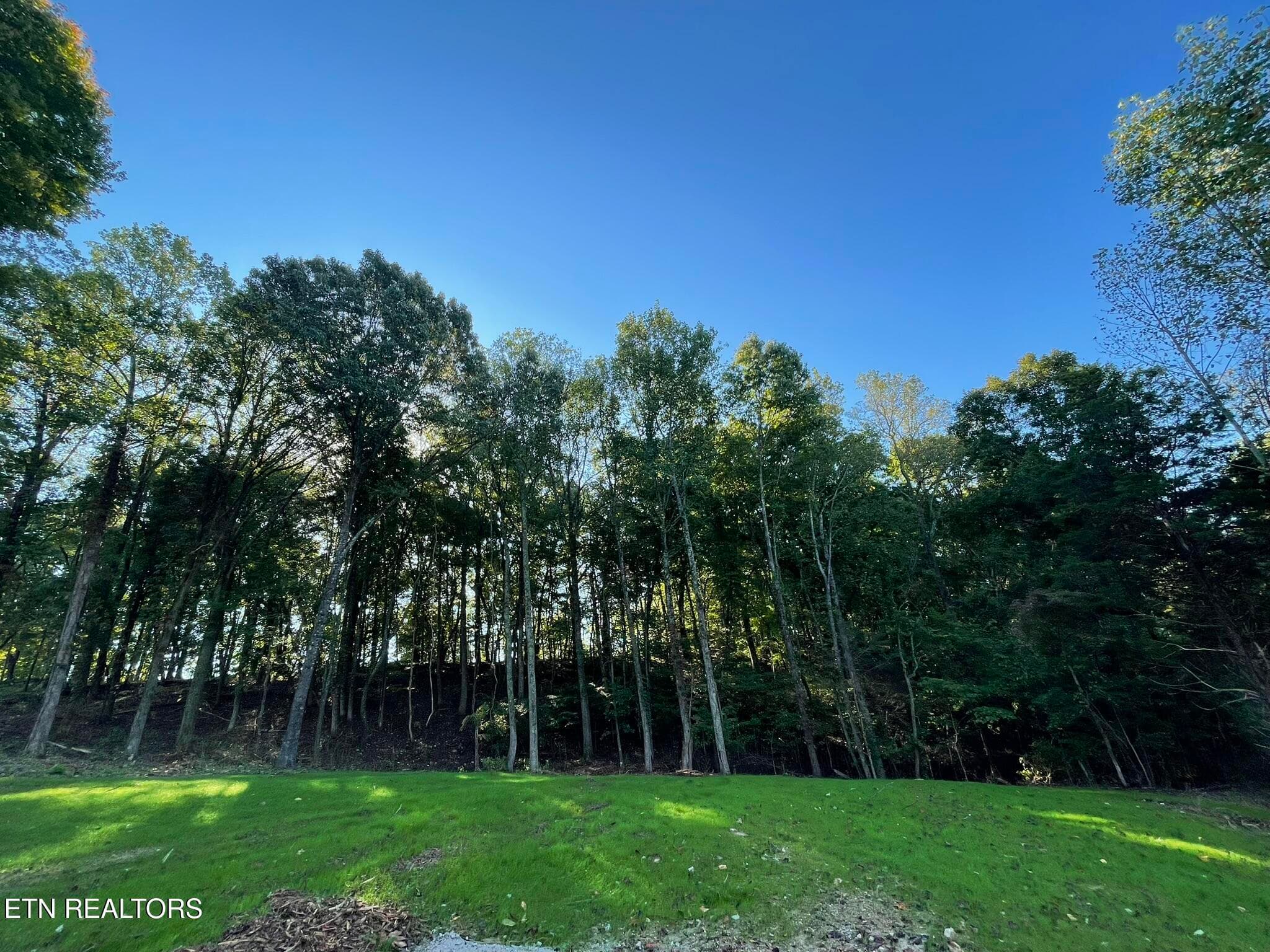 IMG_1386 - Williams Bend Rd Lot 2, Knoxville, TN 37932