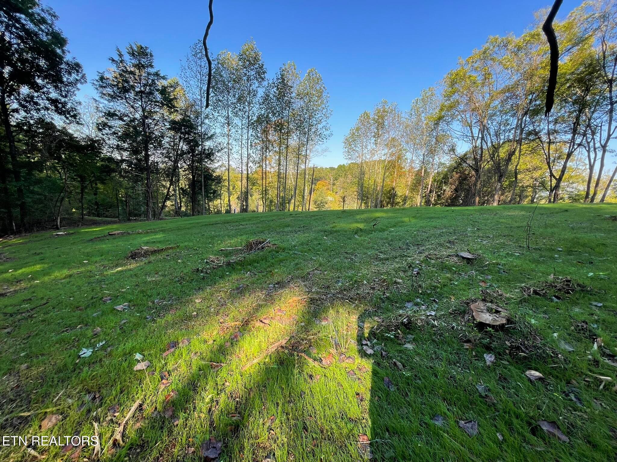 IMG_1389 - Williams Bend Rd Lot 2, Knoxville, TN 37932