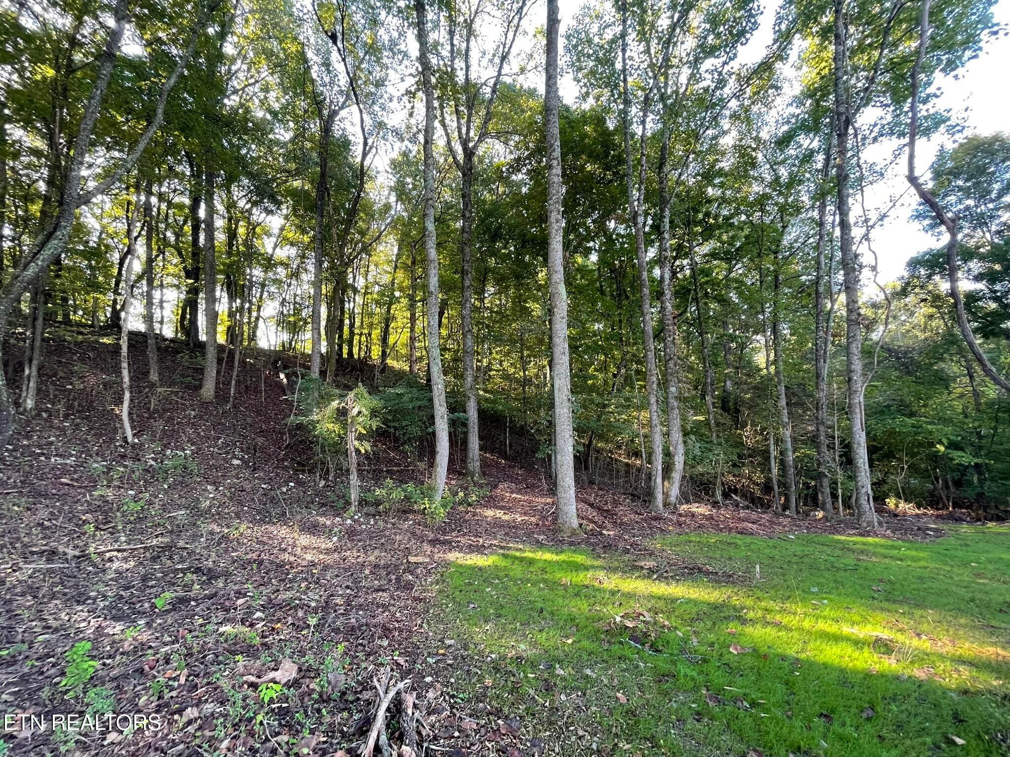 IMG_1390 - Williams Bend Rd Lot 2, Knoxville, TN 37932