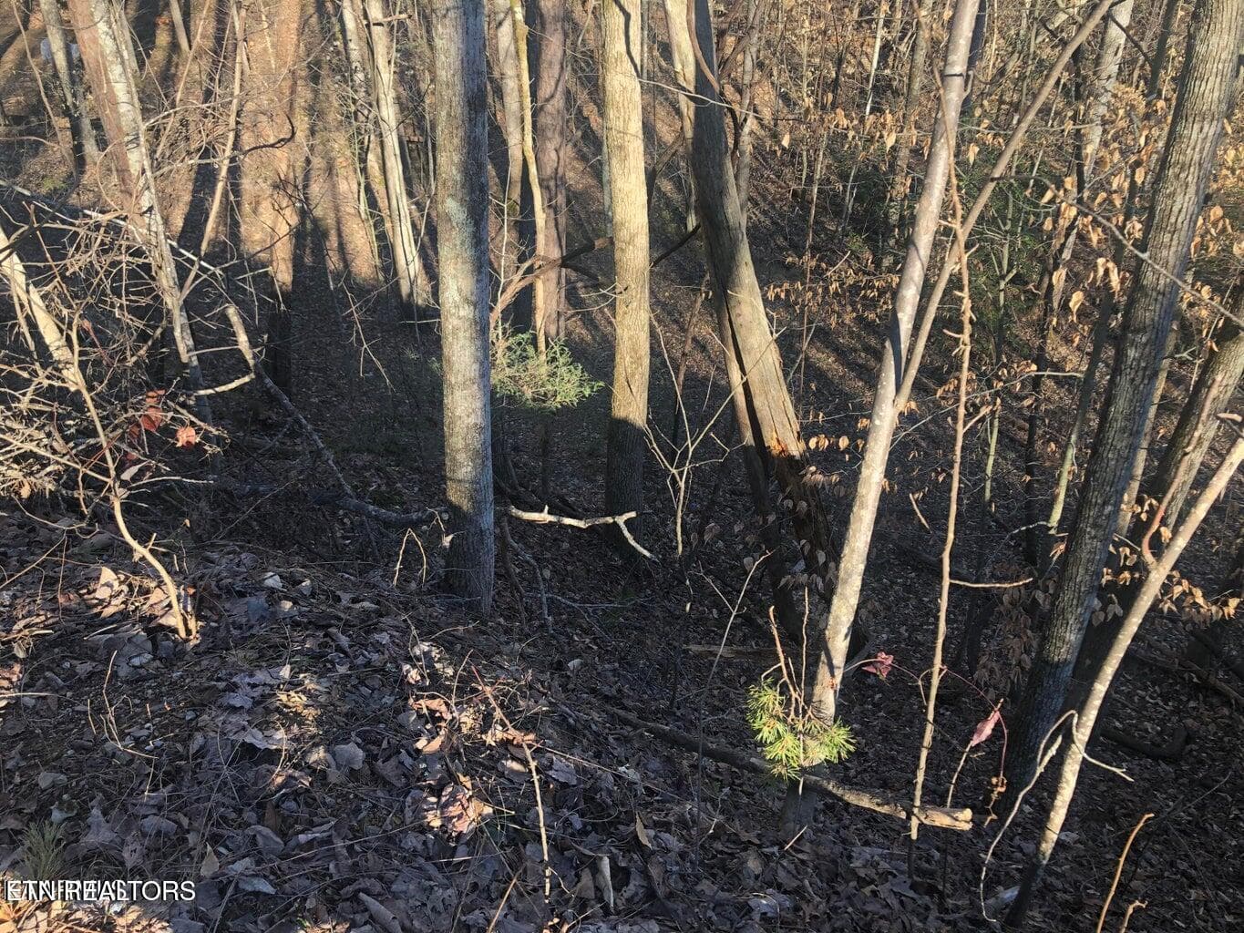 YW2 - Yellowwood Drive, Sevierville, TN 37876, Sevierville