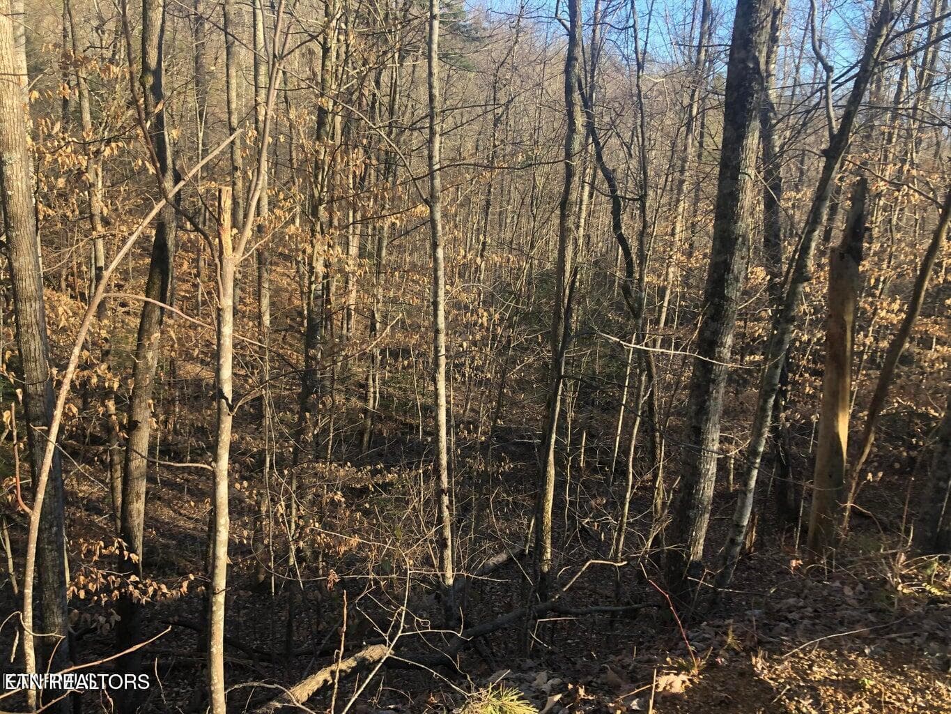 YW1 - Yellowwood Drive, Sevierville, TN 37876, Sevierville