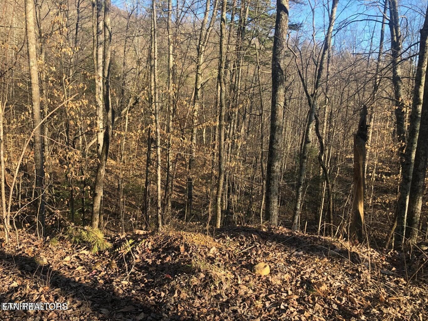 YW - Yellowwood Drive, Sevierville, TN 37876, Sevierville