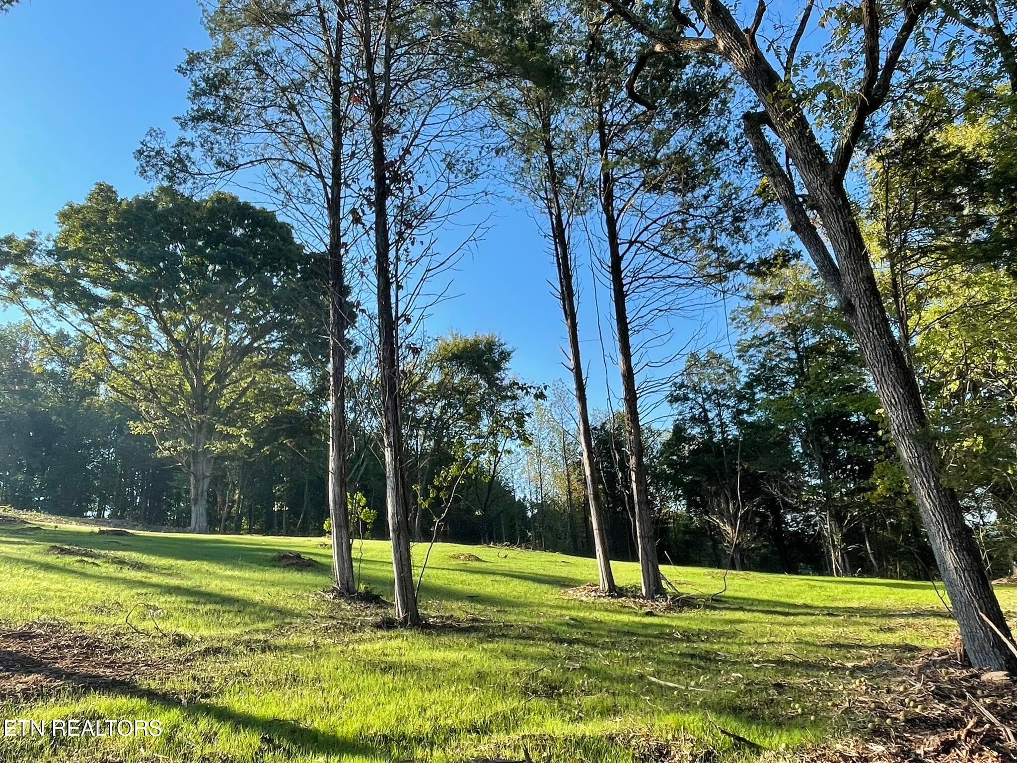 IMG_1363 - Williams Bend Rd Lot 1, Knoxville, TN 37932