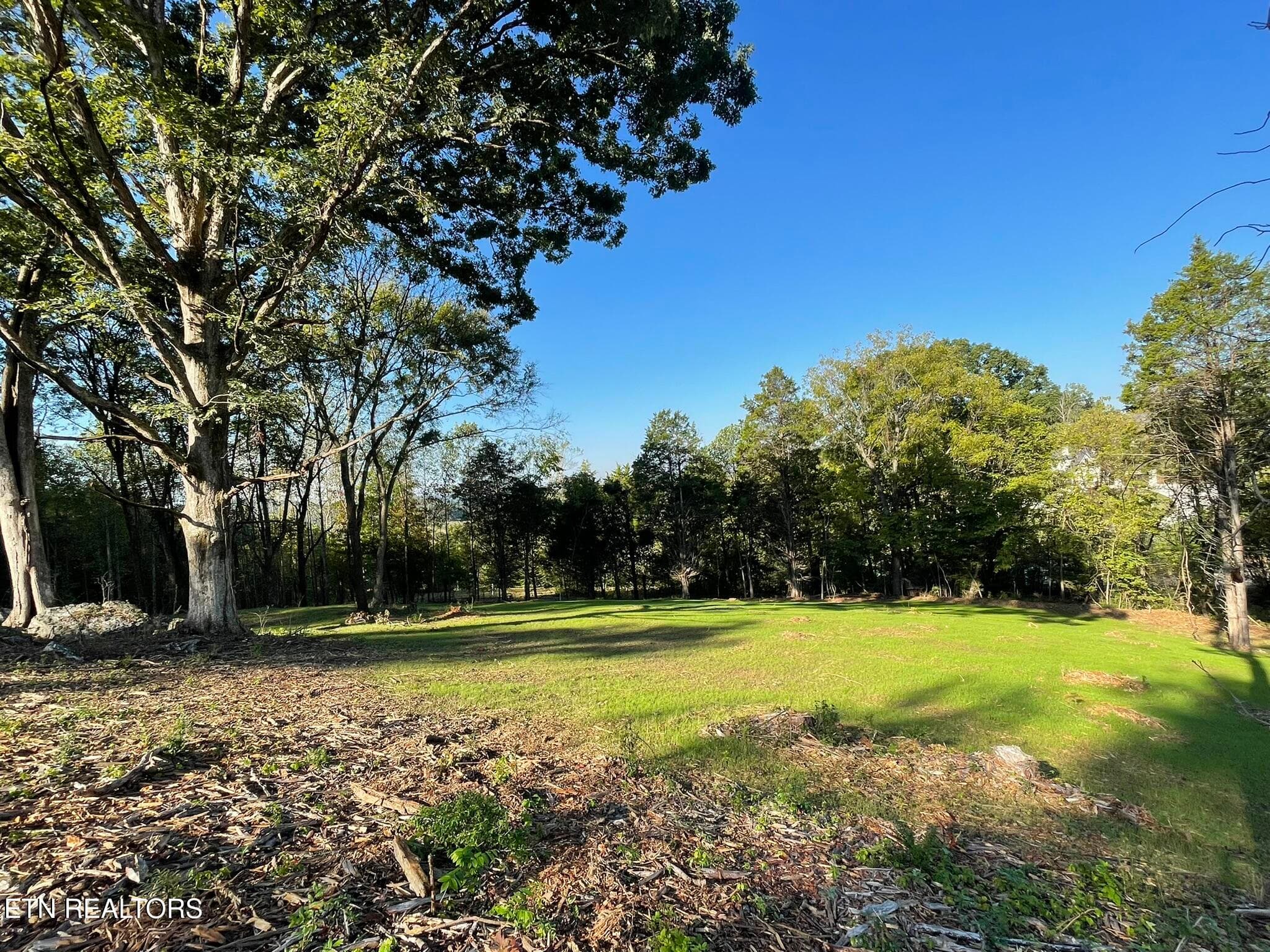 IMG_1372 - Williams Bend Rd Lot 1, Knoxville, TN 37932