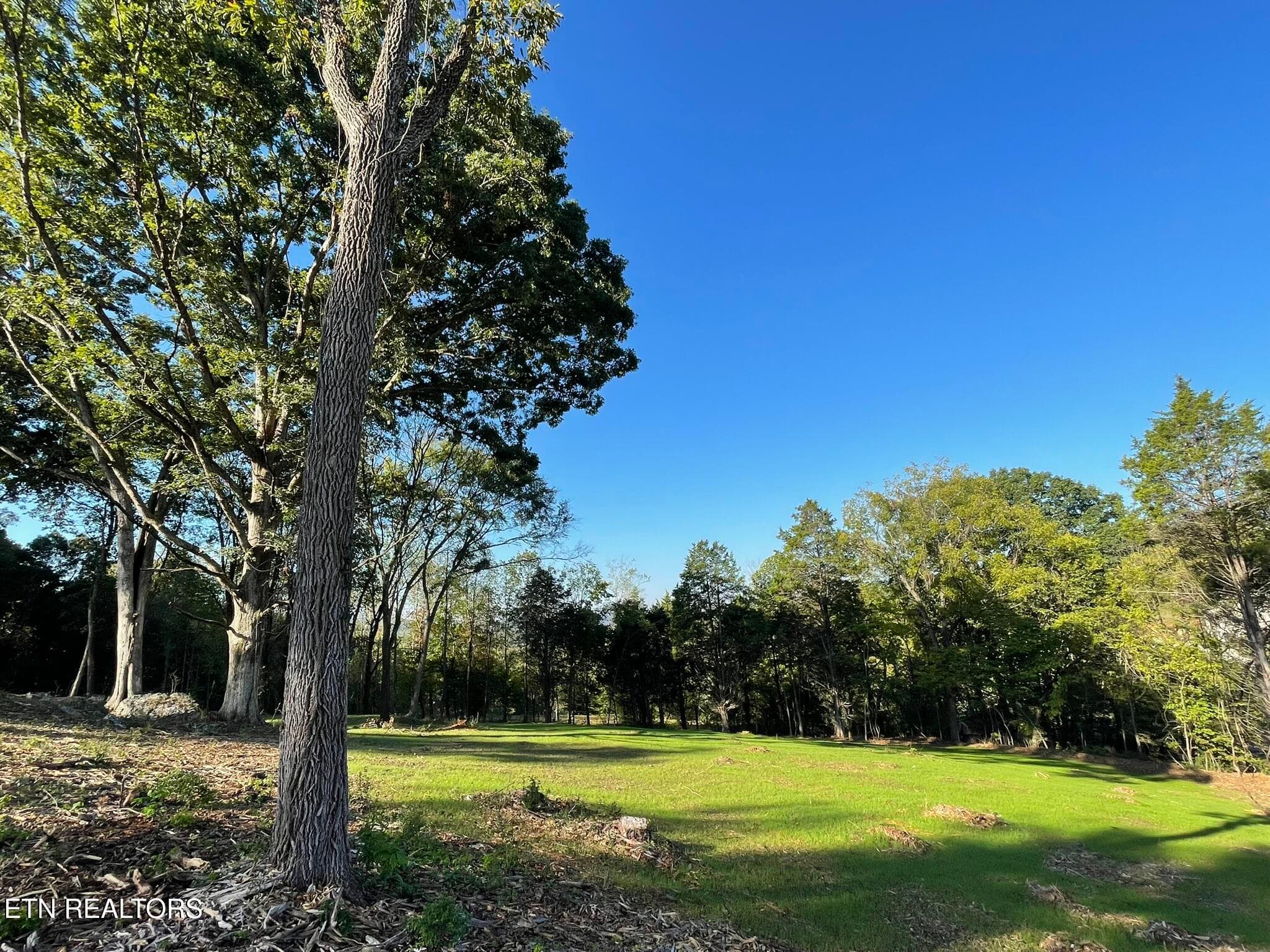 IMG_1374 - Williams Bend Rd Lot 1, Knoxville, TN 37932