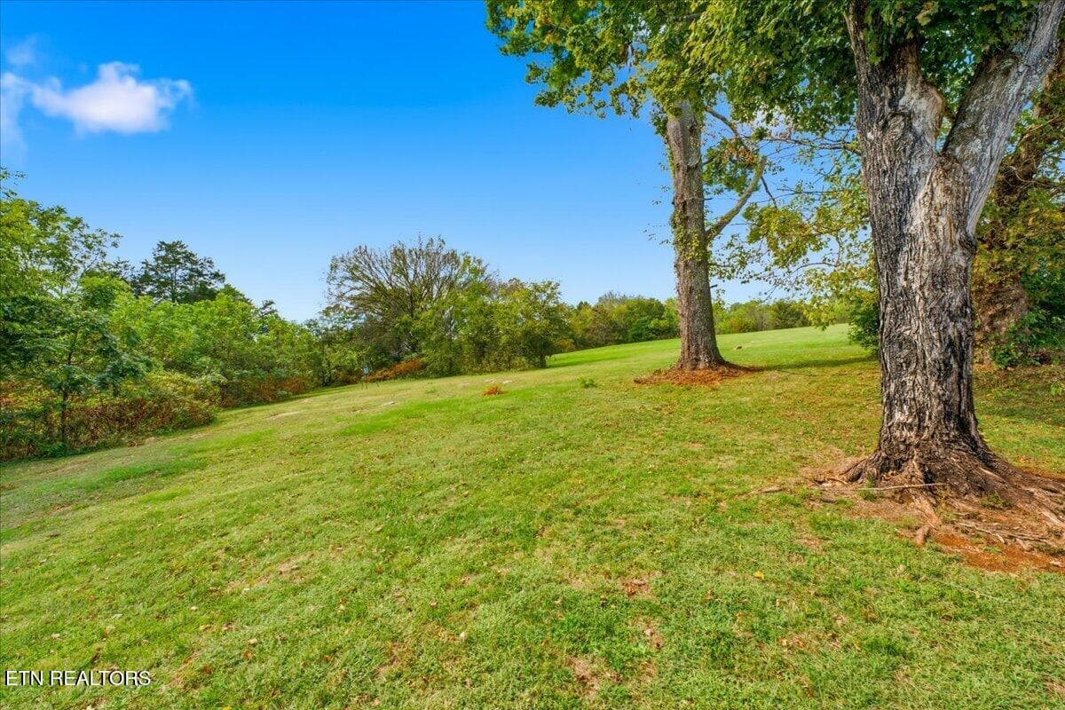 34-Exterior - 481 Judson Rd, Strawberry Plains, TN 37871, Strawberry Plains