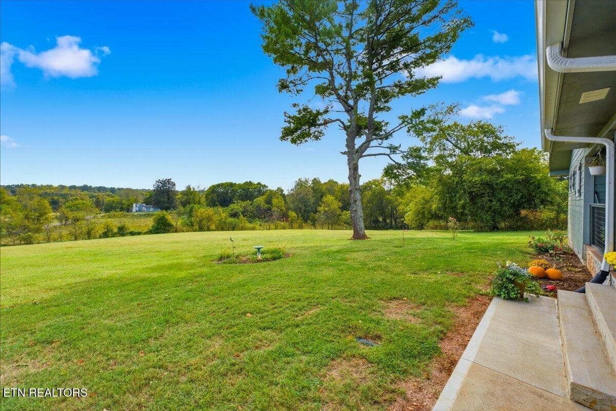 35-Exterior - 481 Judson Rd, Strawberry Plains, TN 37871, Strawberry Plains