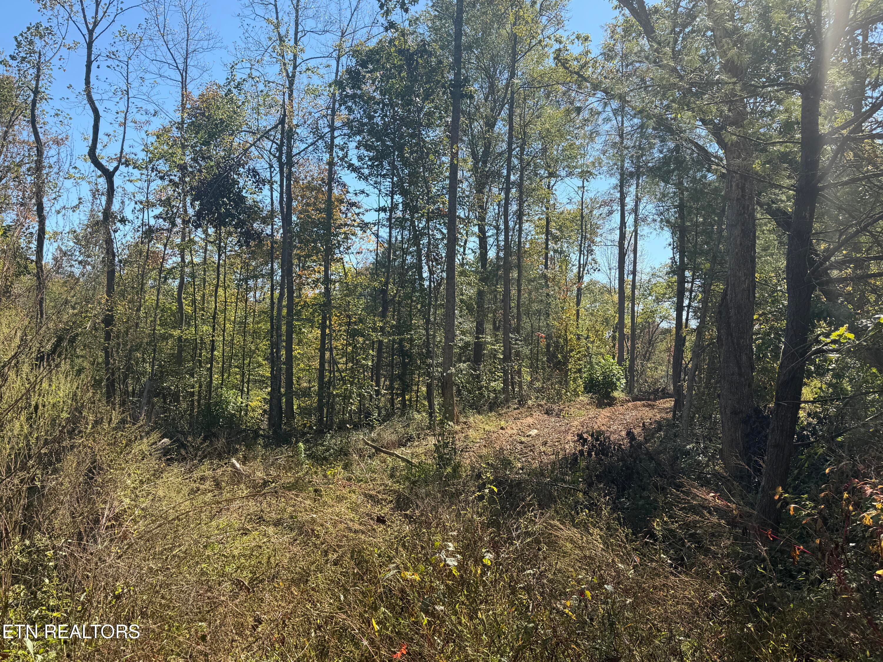 IMG_1811 - 26.97 Acre Mt Helen Rd, Allardt, TN 38504, Allardt