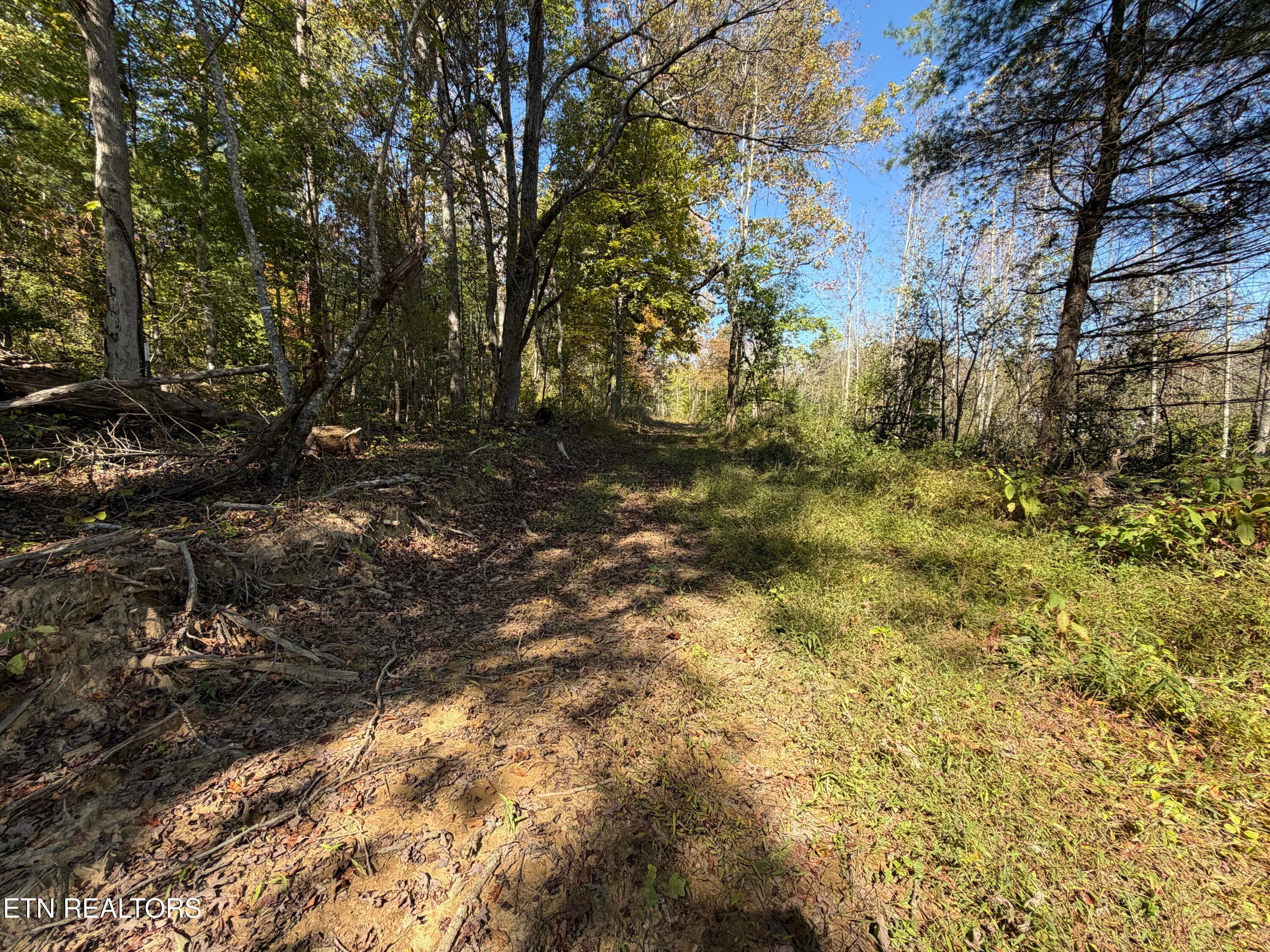 IMG_1813 - 26.97 Acre Mt Helen Rd, Allardt, TN 38504, Allardt
