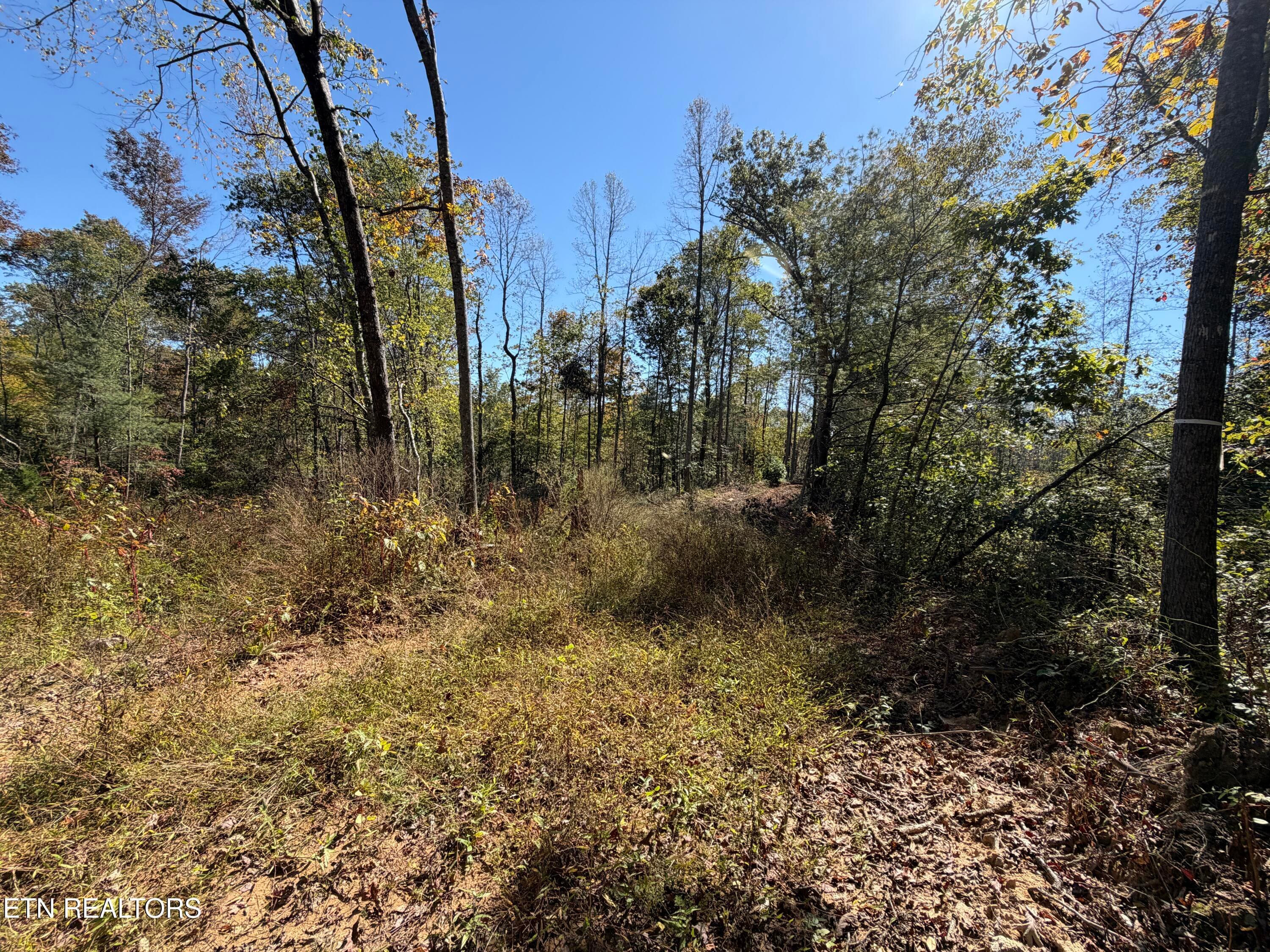 IMG_1814 - 26.97 Acre Mt Helen Rd, Allardt, TN 38504, Allardt