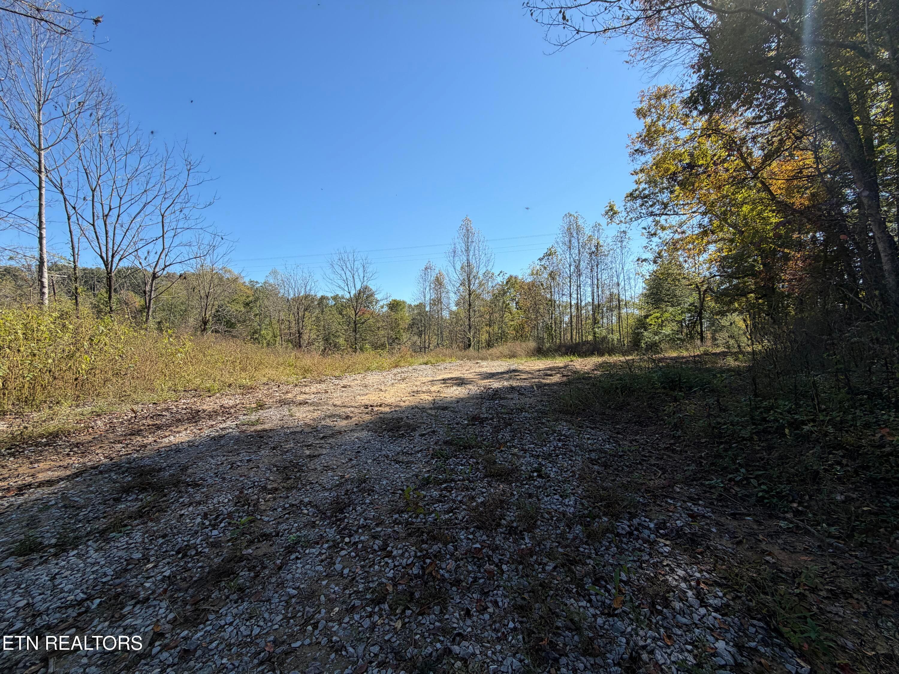IMG_1818 - 26.97 Acre Mt Helen Rd, Allardt, TN 38504, Allardt