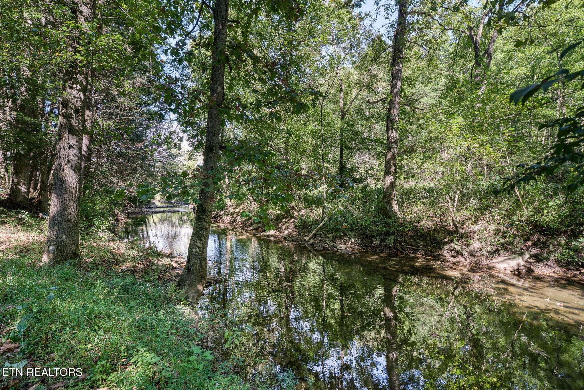 12-web-or-mls-53 River Ln_074_TNPC - 53 River Lane, Crossville, TN 38555, Crossville