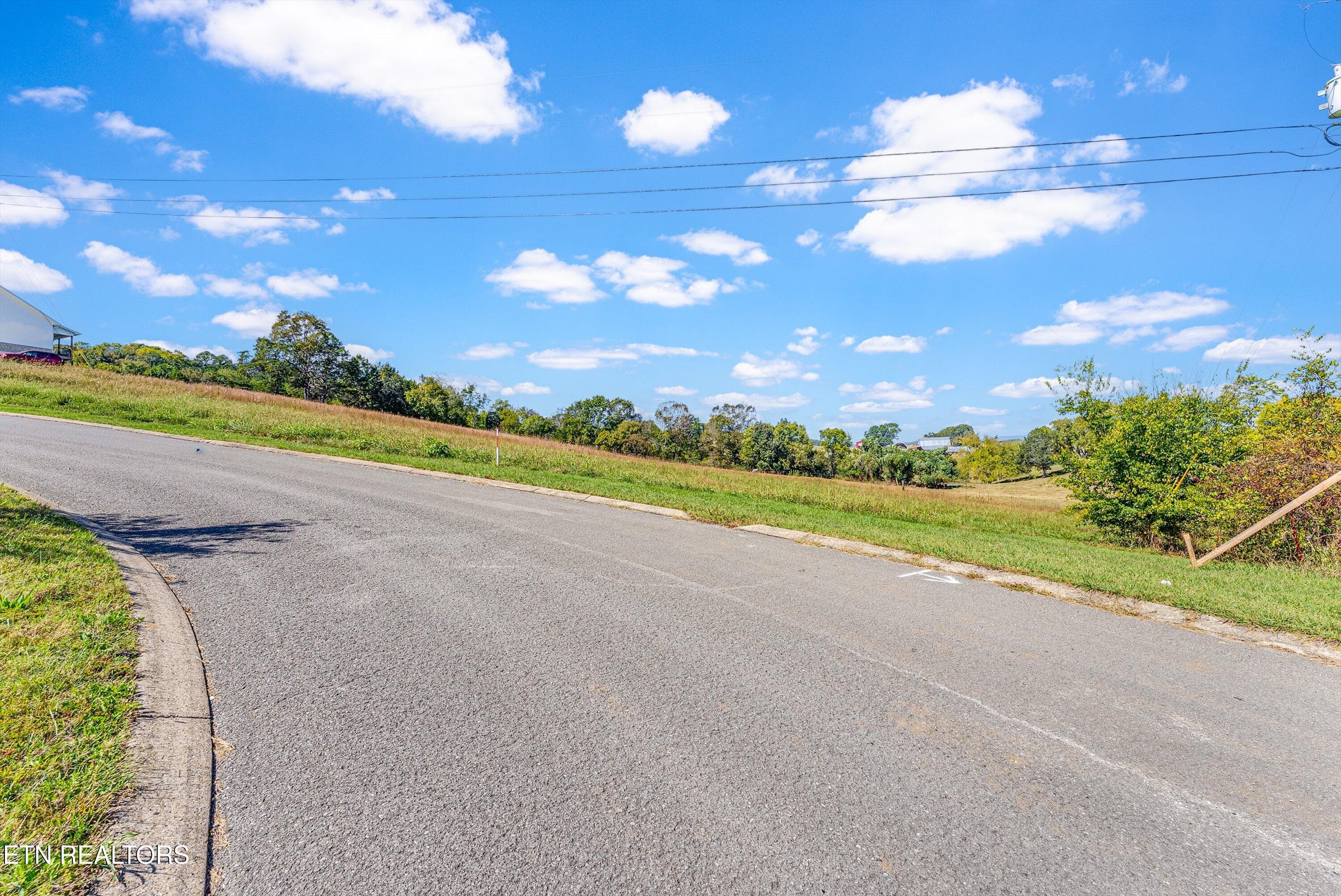 49-Lot 2 A1 - 242 Pocahontas Lane, Rutledge, TN 37861