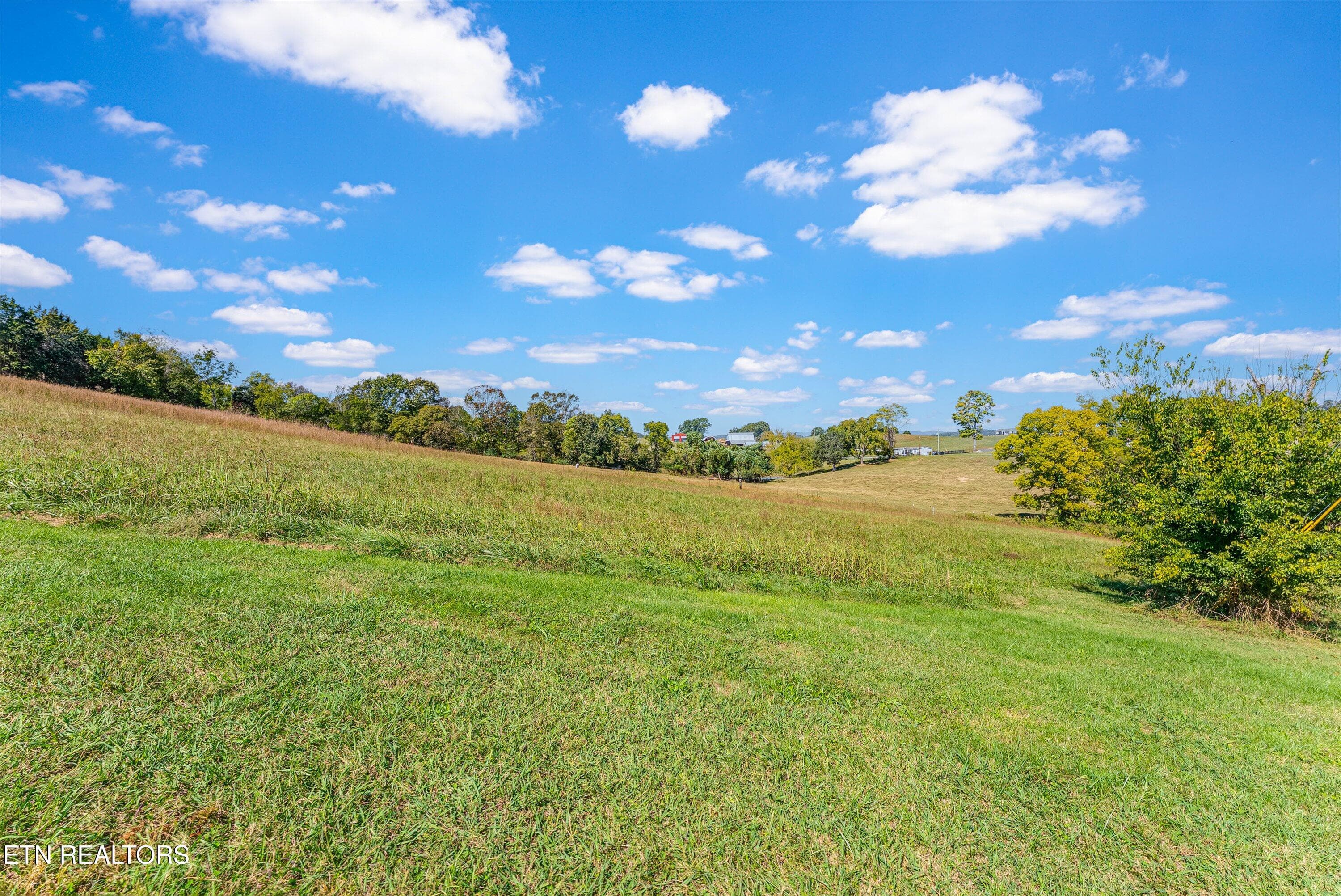 52-Lot 2 A4 - 242 Pocahontas Lane, Rutledge, TN 37861
