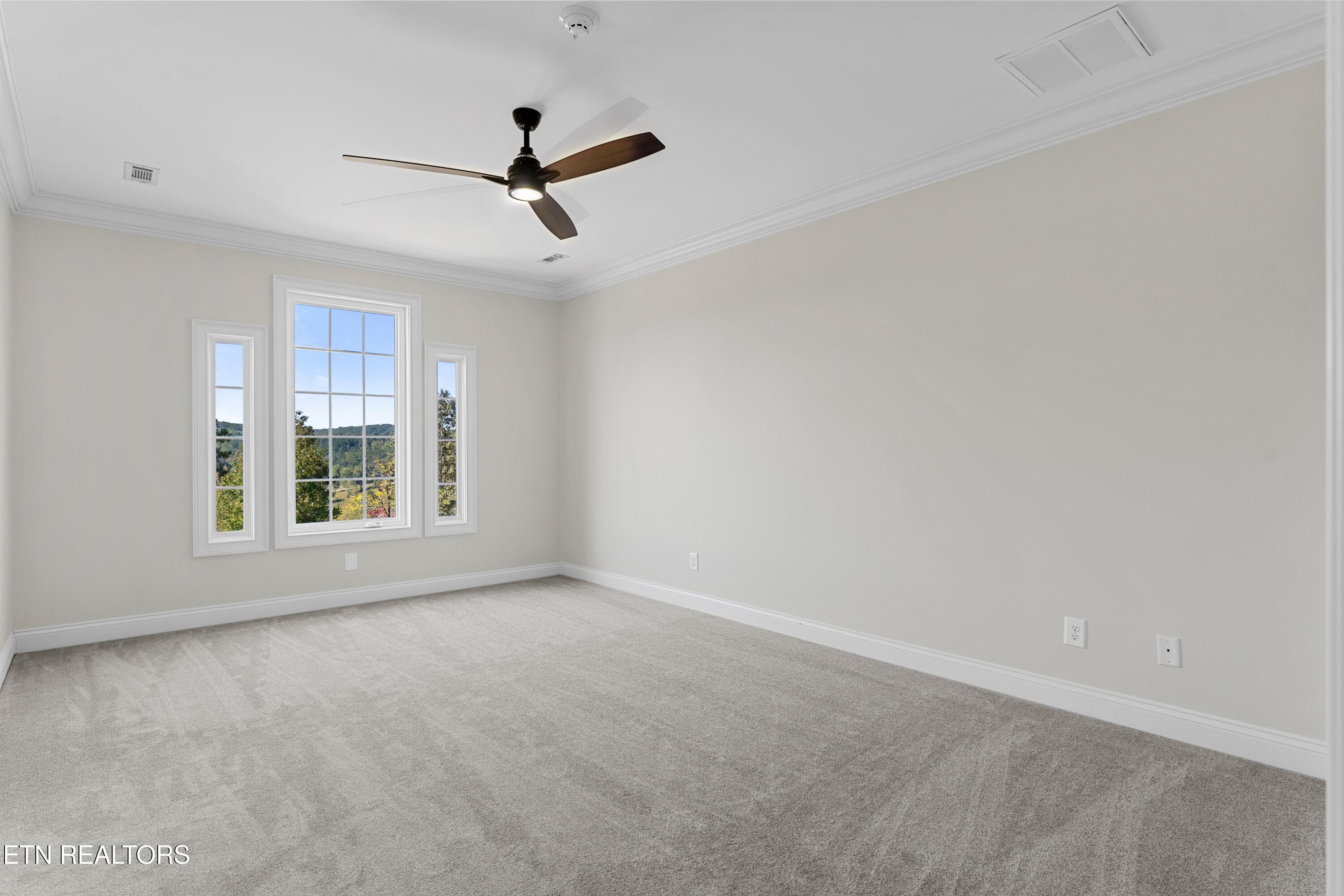 41-print-910 Eagle Nest Dr-41 - 910 Eagle Nest Drive, Loudon, TN 37774