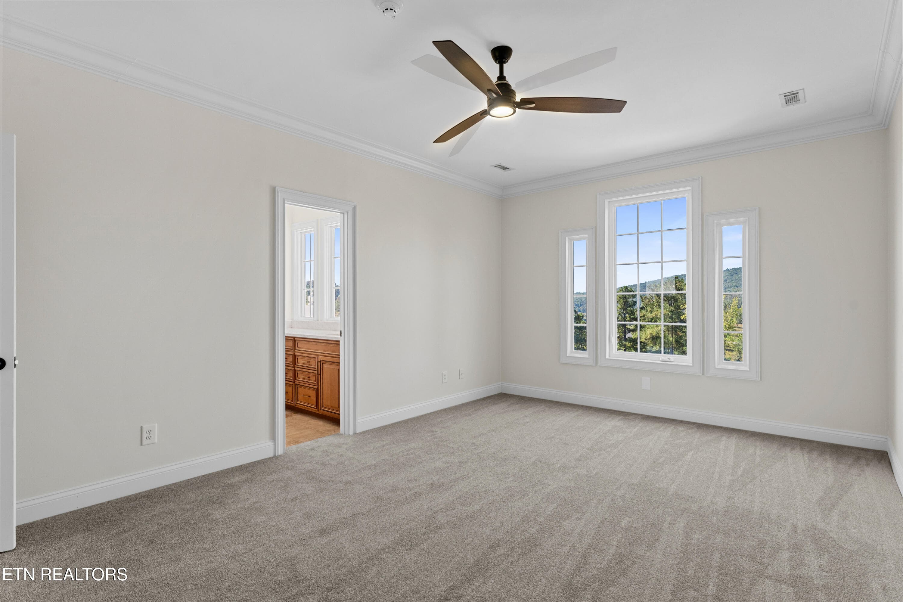 42-print-910 Eagle Nest Dr-42 - 910 Eagle Nest Drive, Loudon, TN 37774
