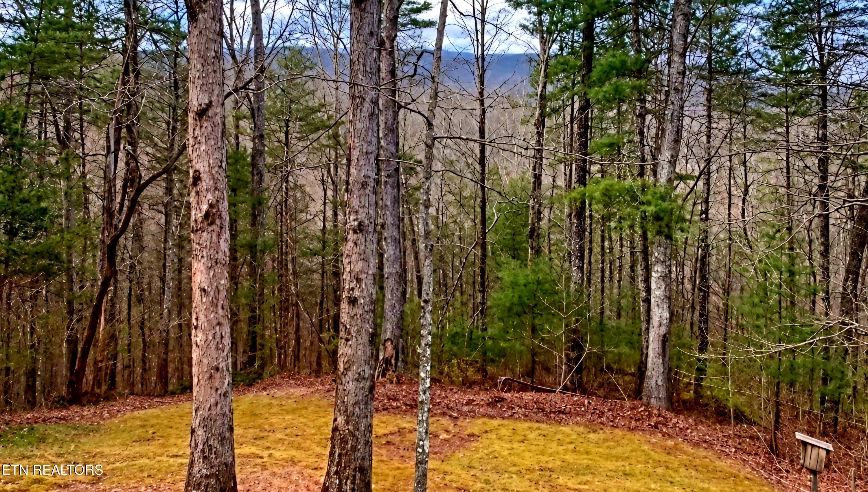 IMG_20261013_173440(1) - 1840 Oakwood Rd, Walland, TN 37886