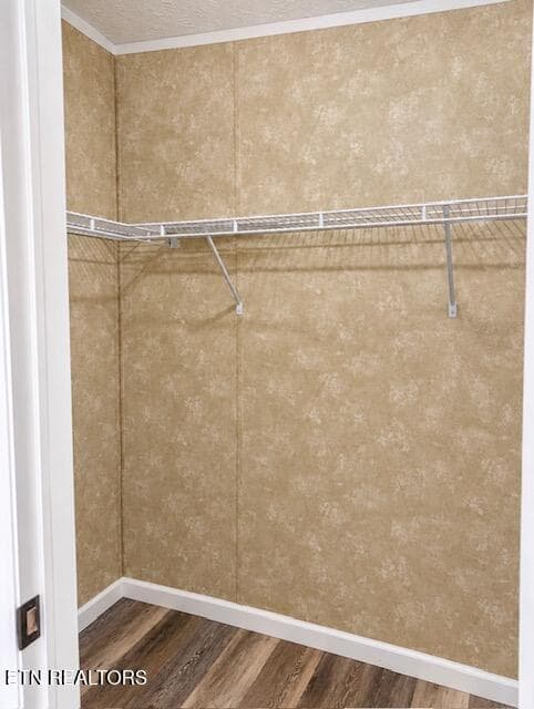 bedroom 2 closet - 134 Hollow Lane, Caryville, TN 37714