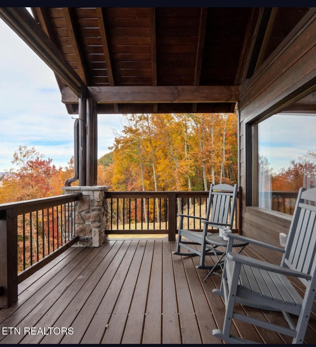 IMG_7363 - 3742 Swearingen Way, Sevierville, TN 37862