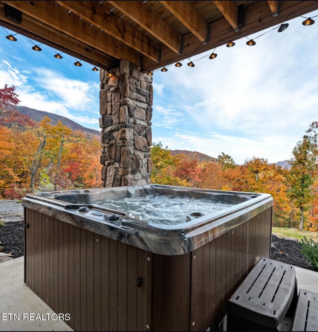 IMG_7367 - 3742 Swearingen Way, Sevierville, TN 37862