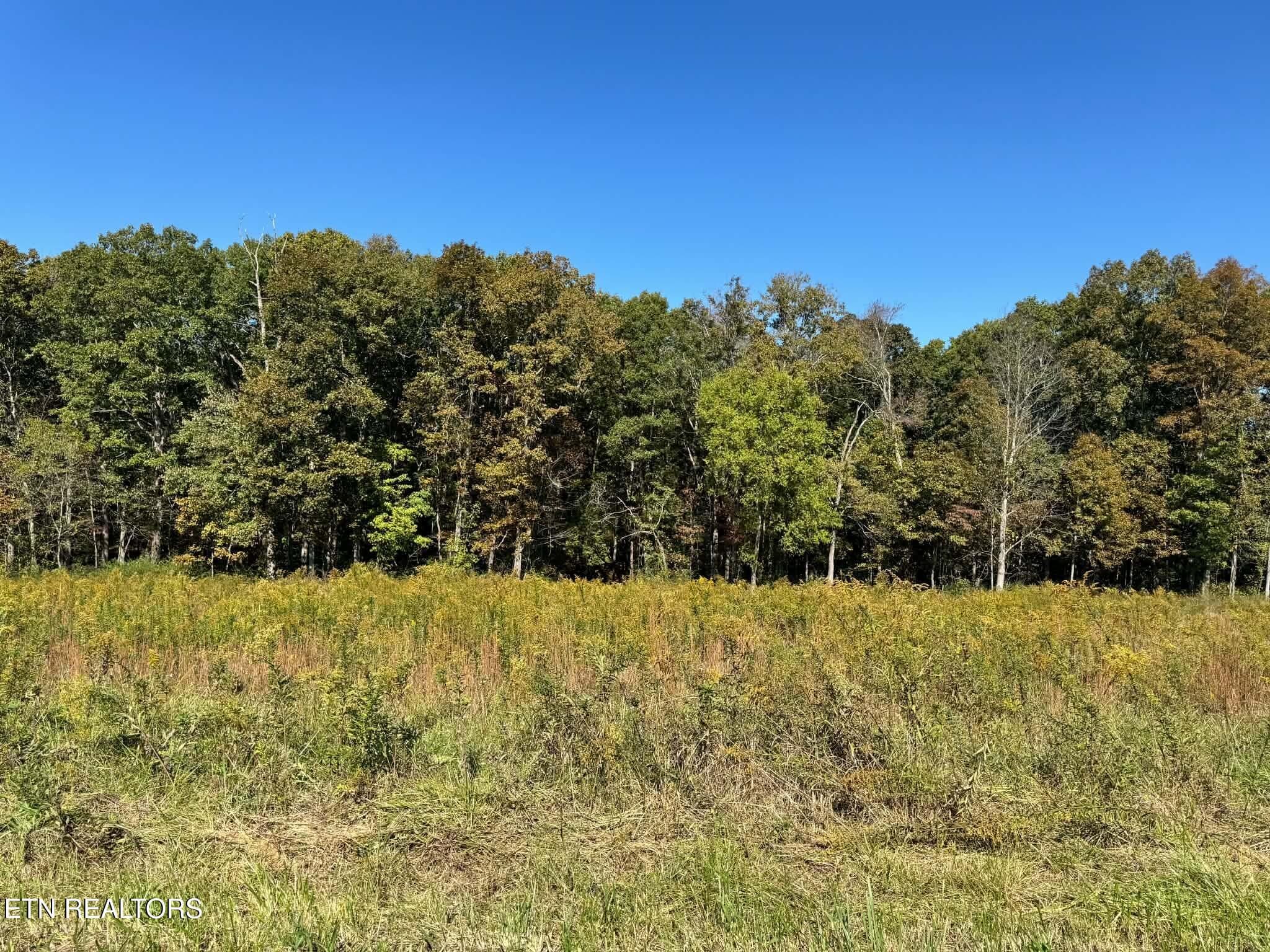 d66668c5-44b9-443c-a985-c3c3238db70e - Golliher Rd, Rockwood, TN 37854, Rockwood