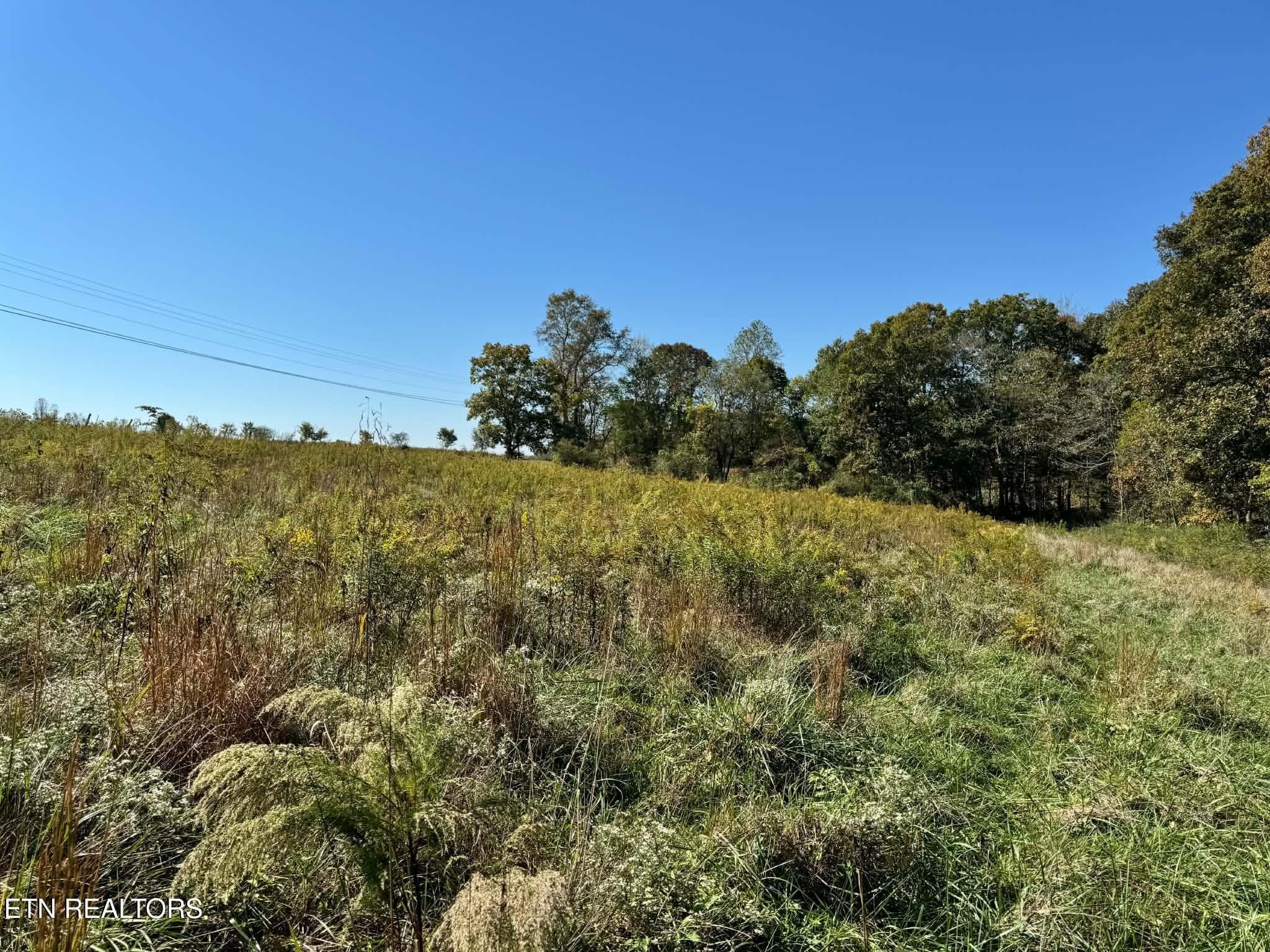 950b58cd-71e3-4c30-9438-12e2413188eb - Golliher Rd, Rockwood, TN 37854, Rockwood