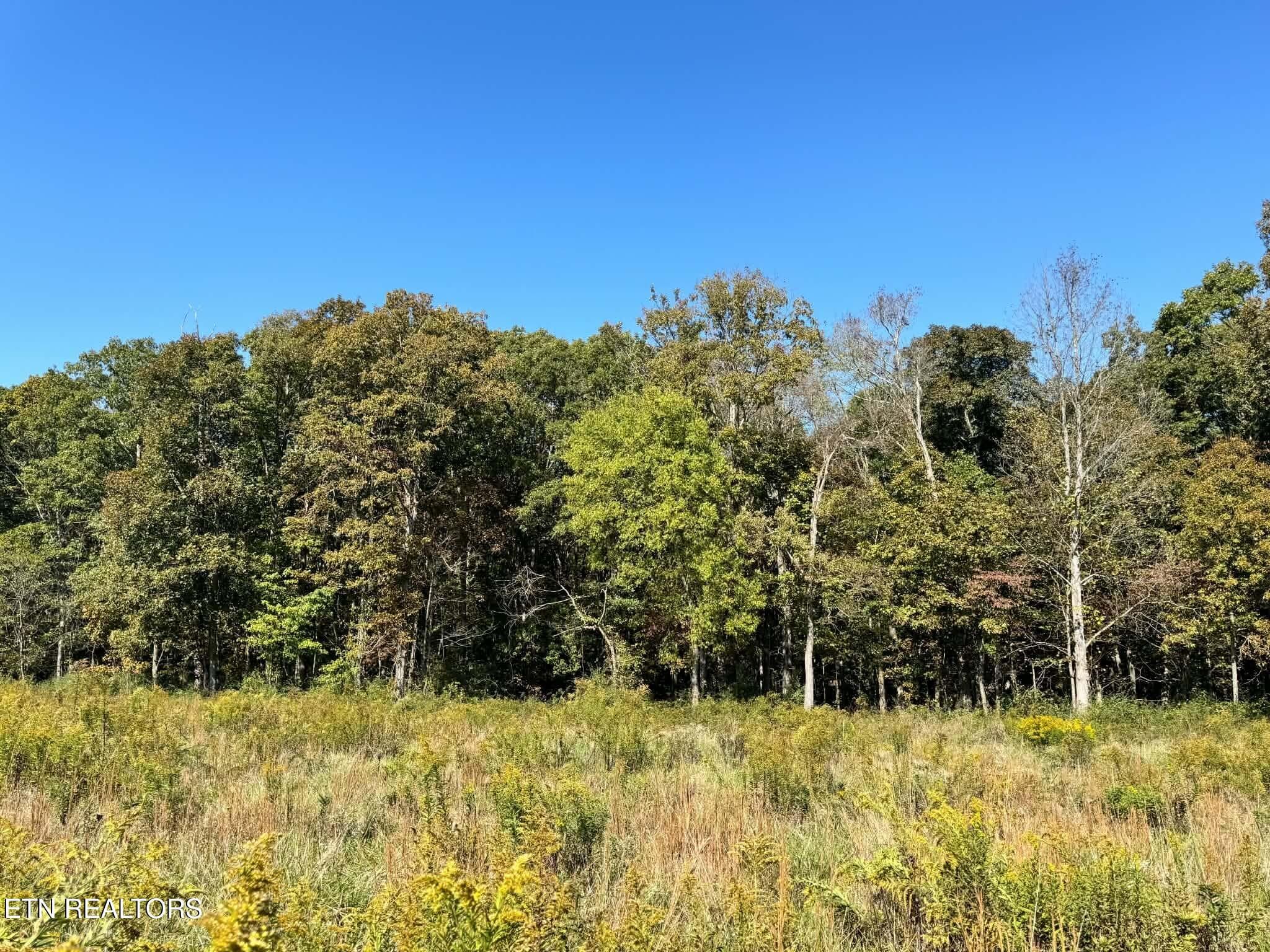 6ec935d9-09c5-4ca2-8dd3-3183acddf0b2 - Golliher Rd, Rockwood, TN 37854, Rockwood
