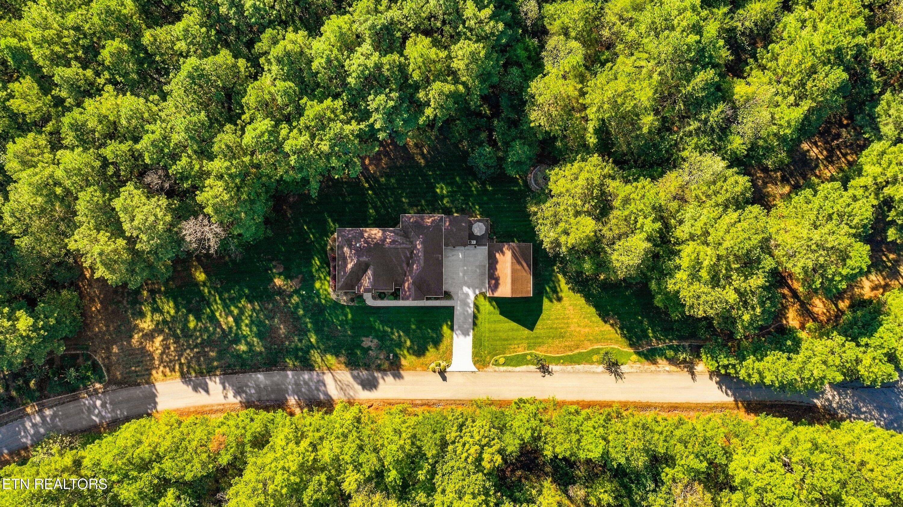 Beautiful mature trees - 1739 Grand Pine Point, Maryville, TN 37801, Maryville