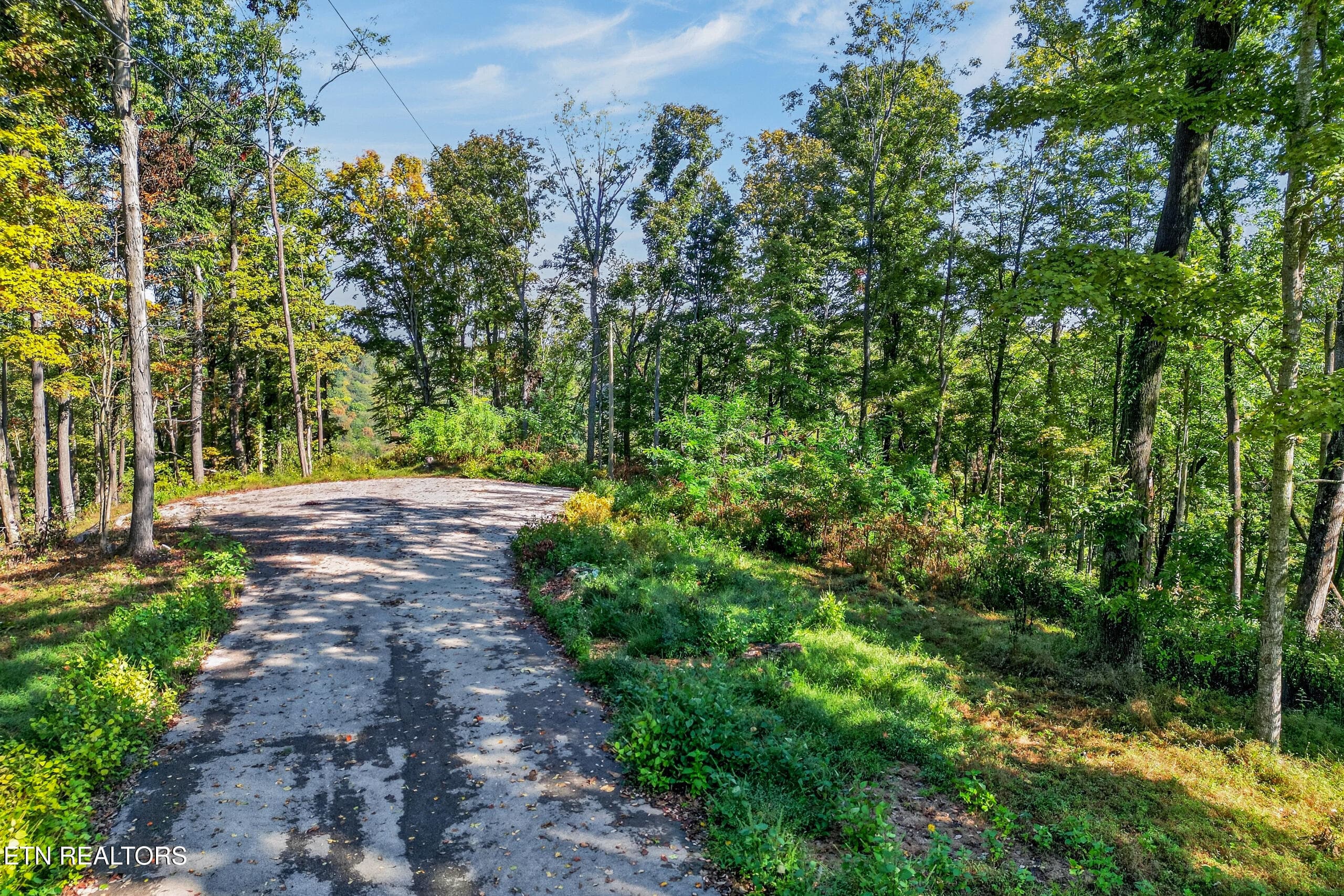 001_DJI_0510 - Lot 10 Back Ranch Drive, Silver Point, TN 38582, Silver Point