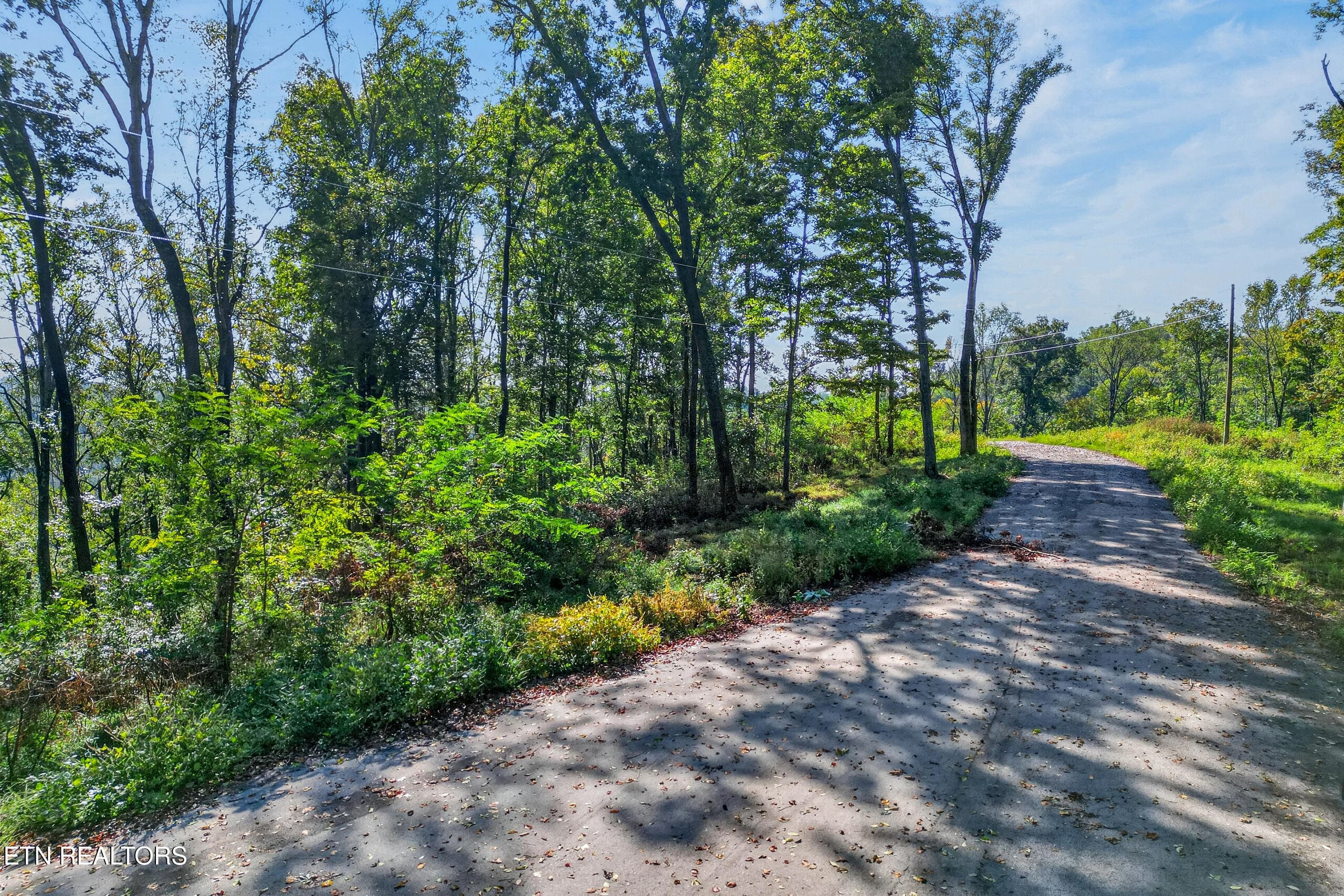 002_DJI_0508 - Lot 10 Back Ranch Drive, Silver Point, TN 38582, Silver Point