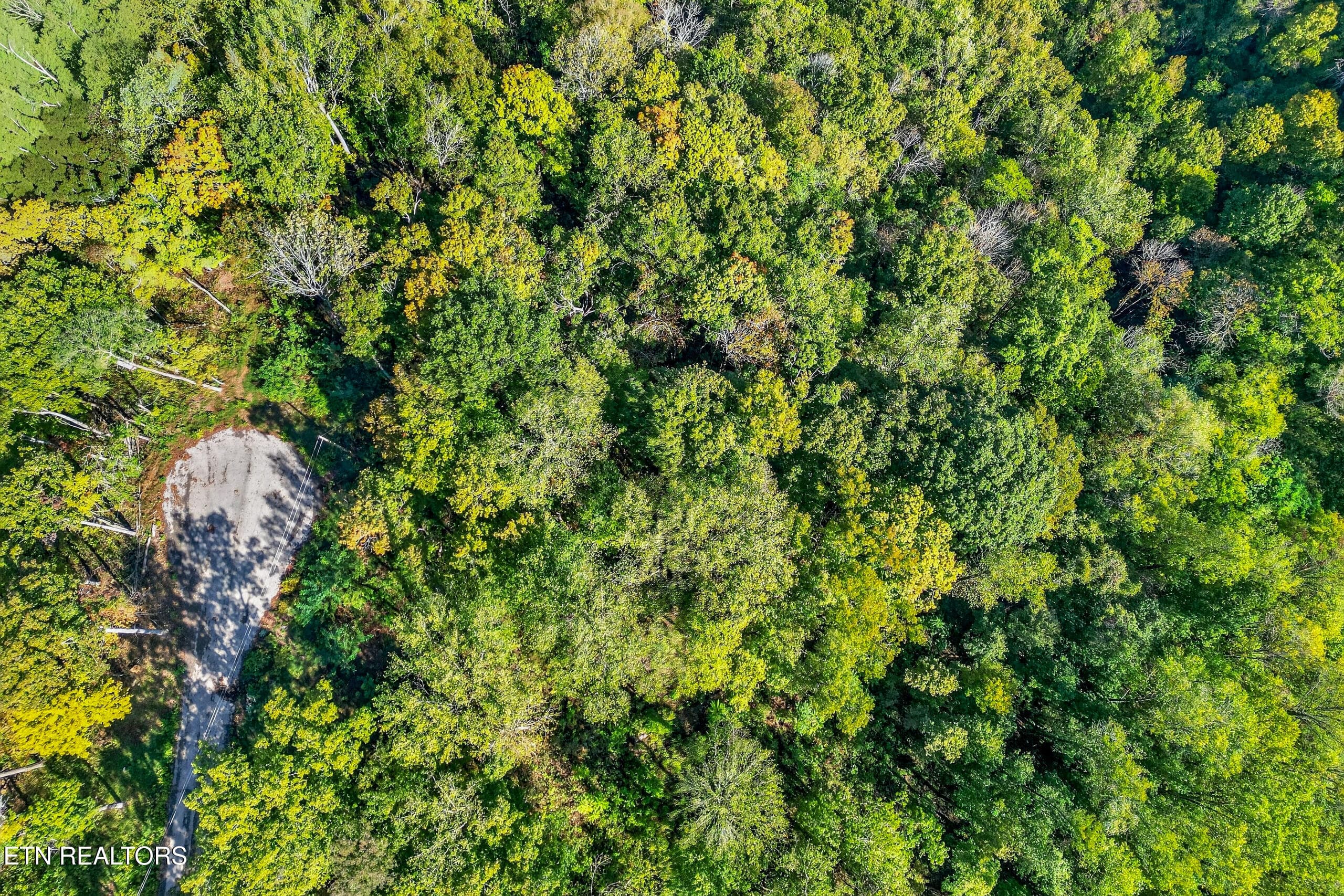 005_DJI_0486 - Lot 10 Back Ranch Drive, Silver Point, TN 38582, Silver Point