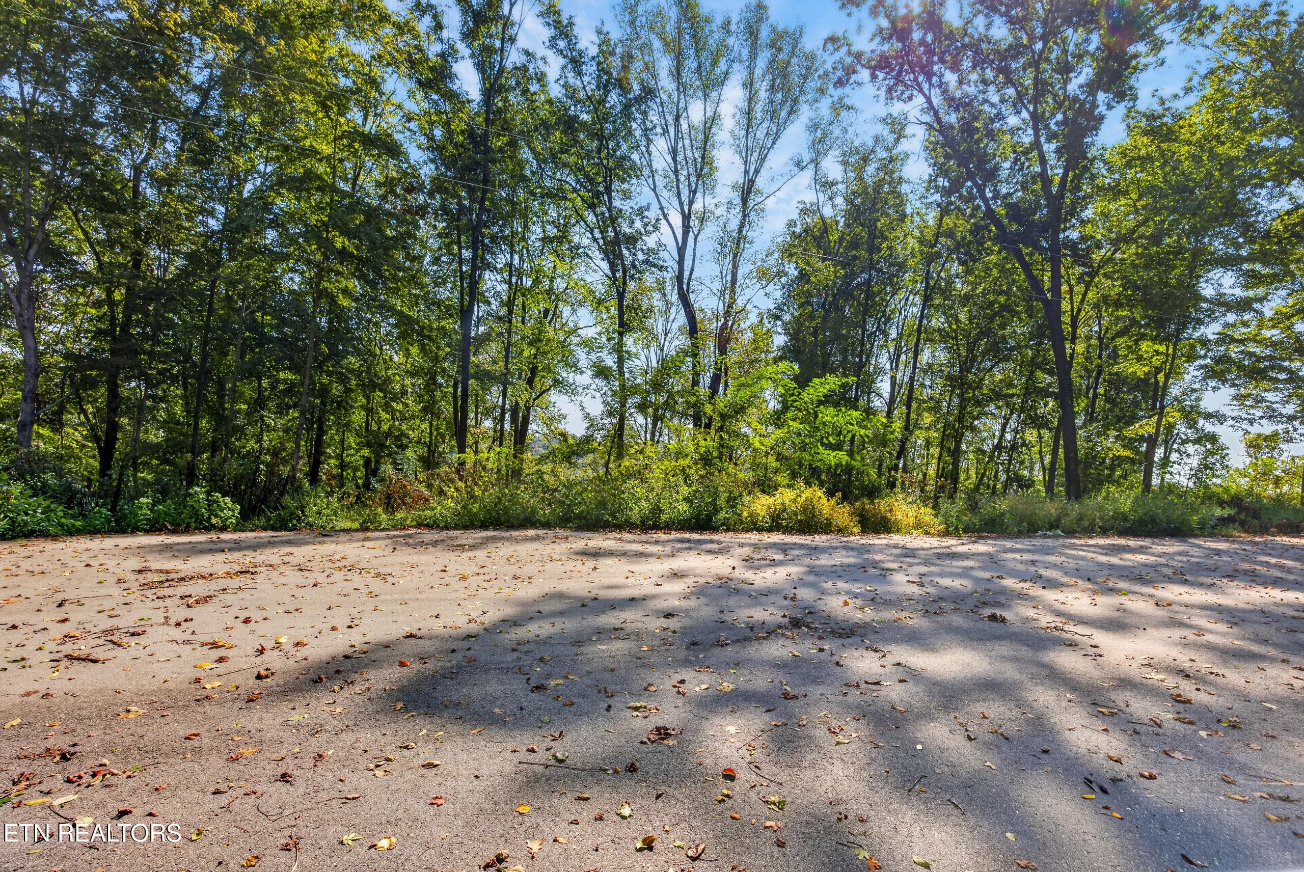 007_8N5A0721-2 - Lot 10 Back Ranch Drive, Silver Point, TN 38582, Silver Point