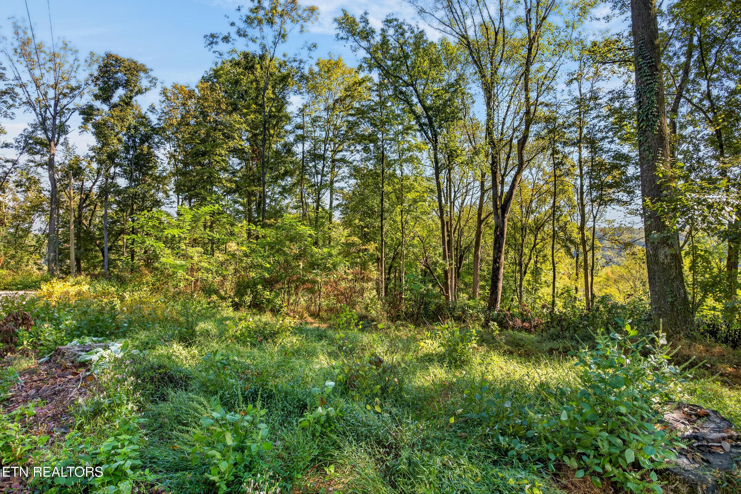 008_8N5A0725 - Lot 10 Back Ranch Drive, Silver Point, TN 38582, Silver Point