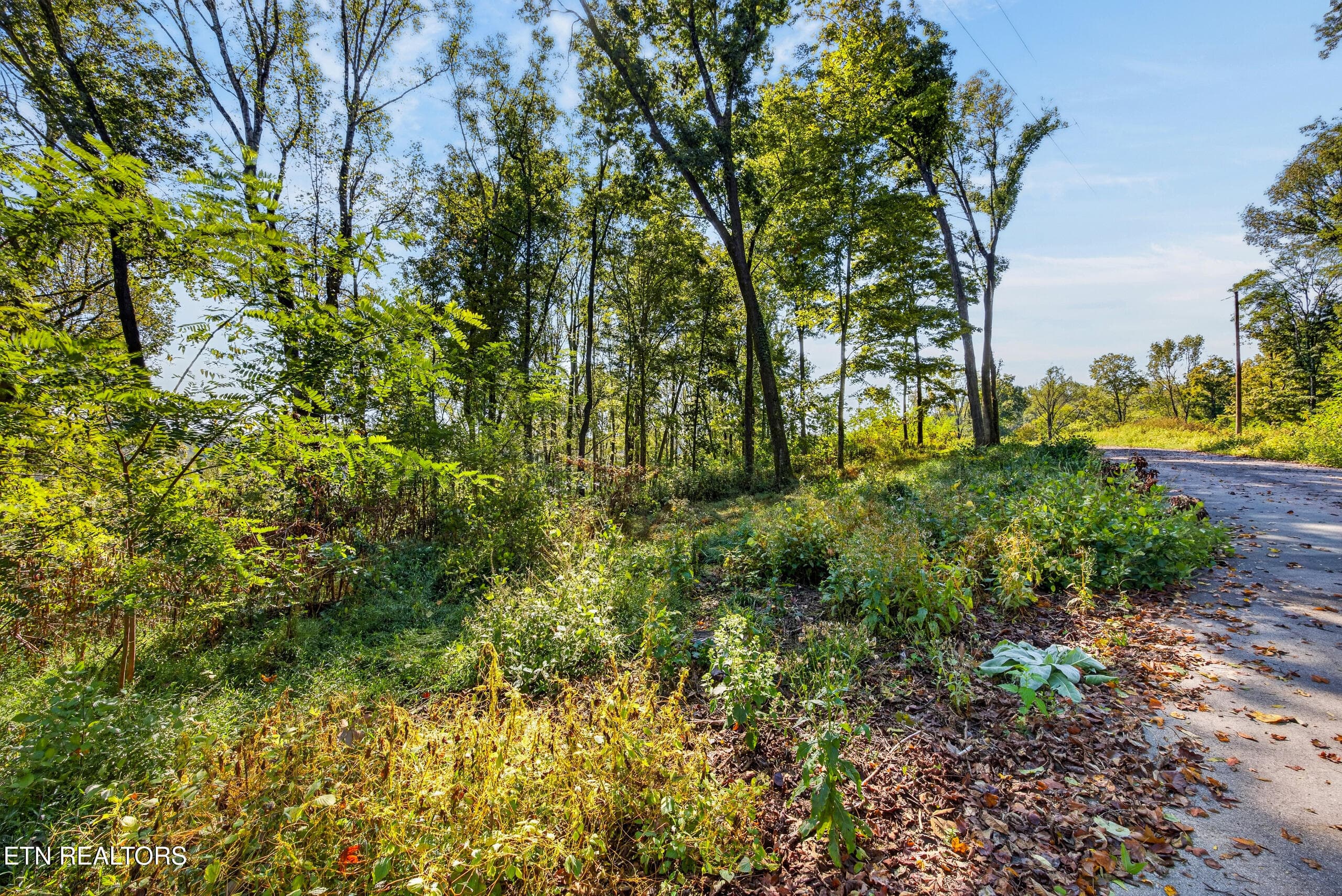 010_8N5A0740 - Lot 10 Back Ranch Drive, Silver Point, TN 38582, Silver Point
