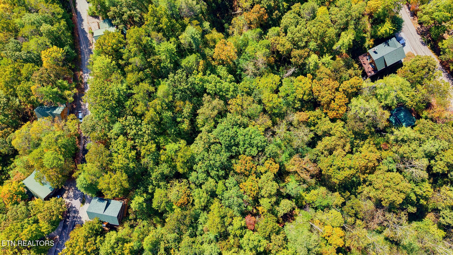 DJI_20261012124819_0084_D-2 - Tolliver Tr, Townsend, TN 37882, Townsend
