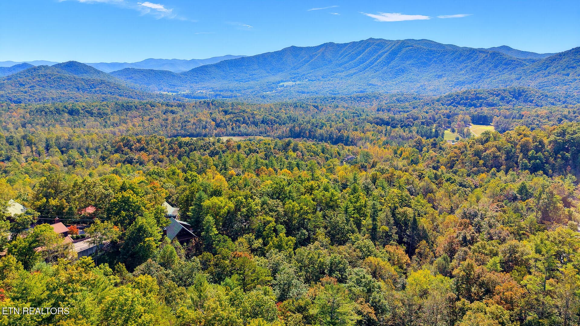 DJI_20261012125025_0090_D-2 - Tolliver Tr, Townsend, TN 37882, Townsend