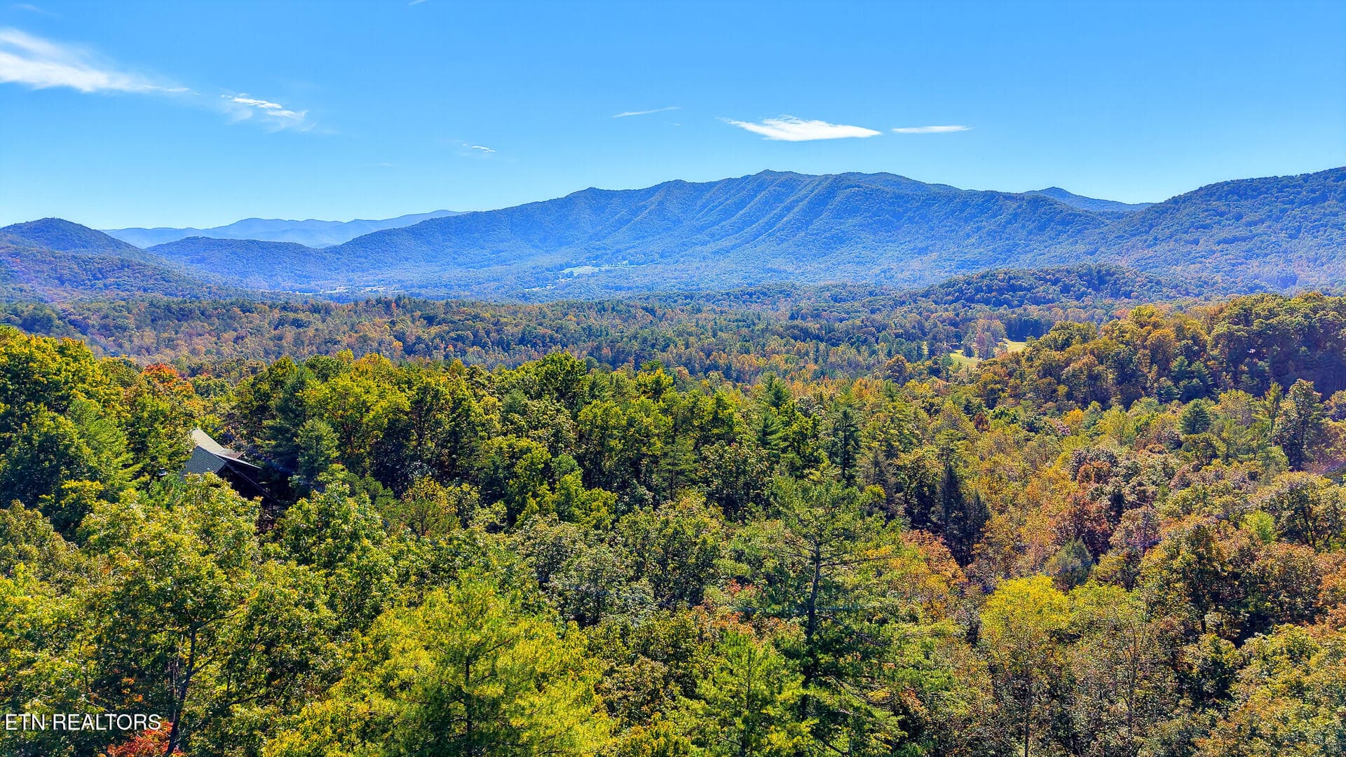 DJI_20261012125116_0092_D-2 - Tolliver Tr, Townsend, TN 37882, Townsend