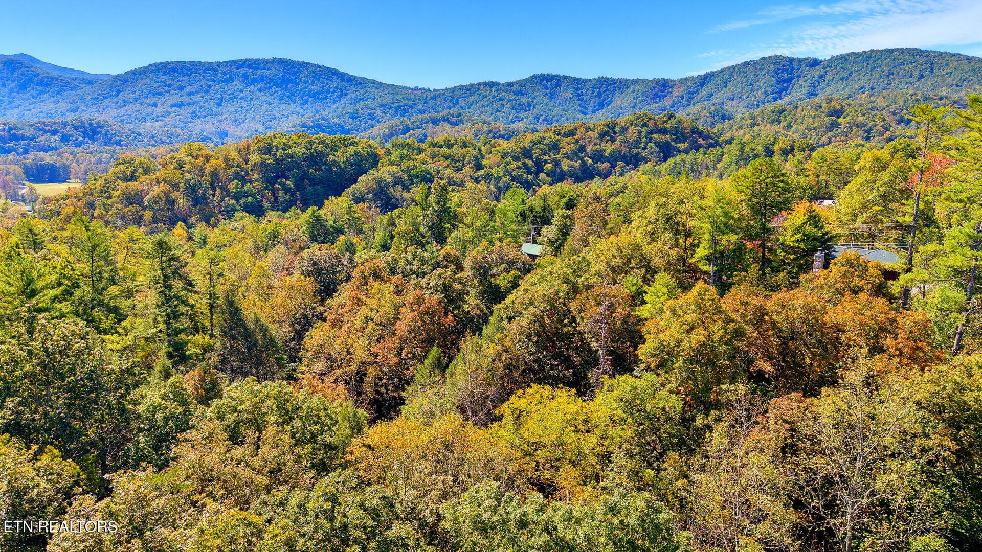 DJI_20261012125203_0094_D-2 - Tolliver Tr, Townsend, TN 37882, Townsend