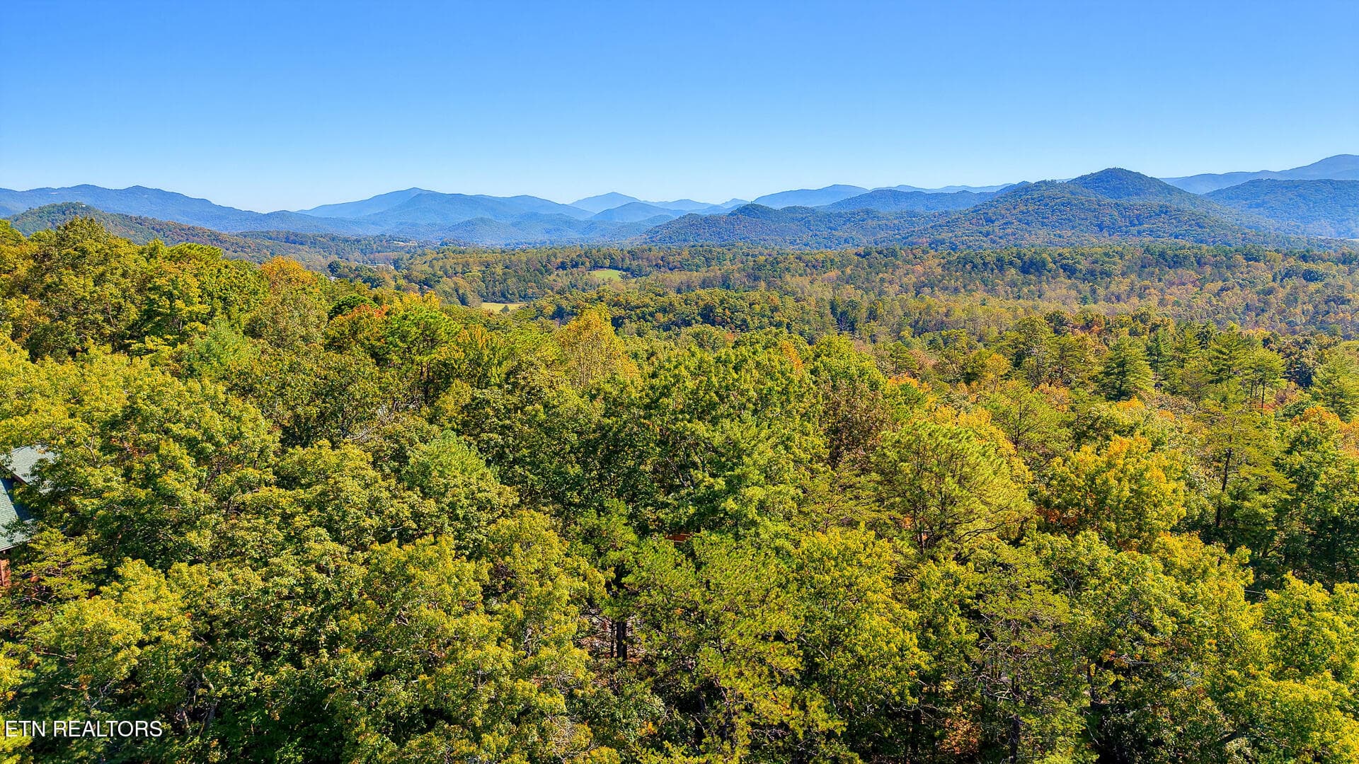 DJI_20261012125339_0097_D-2 - Tolliver Tr, Townsend, TN 37882, Townsend