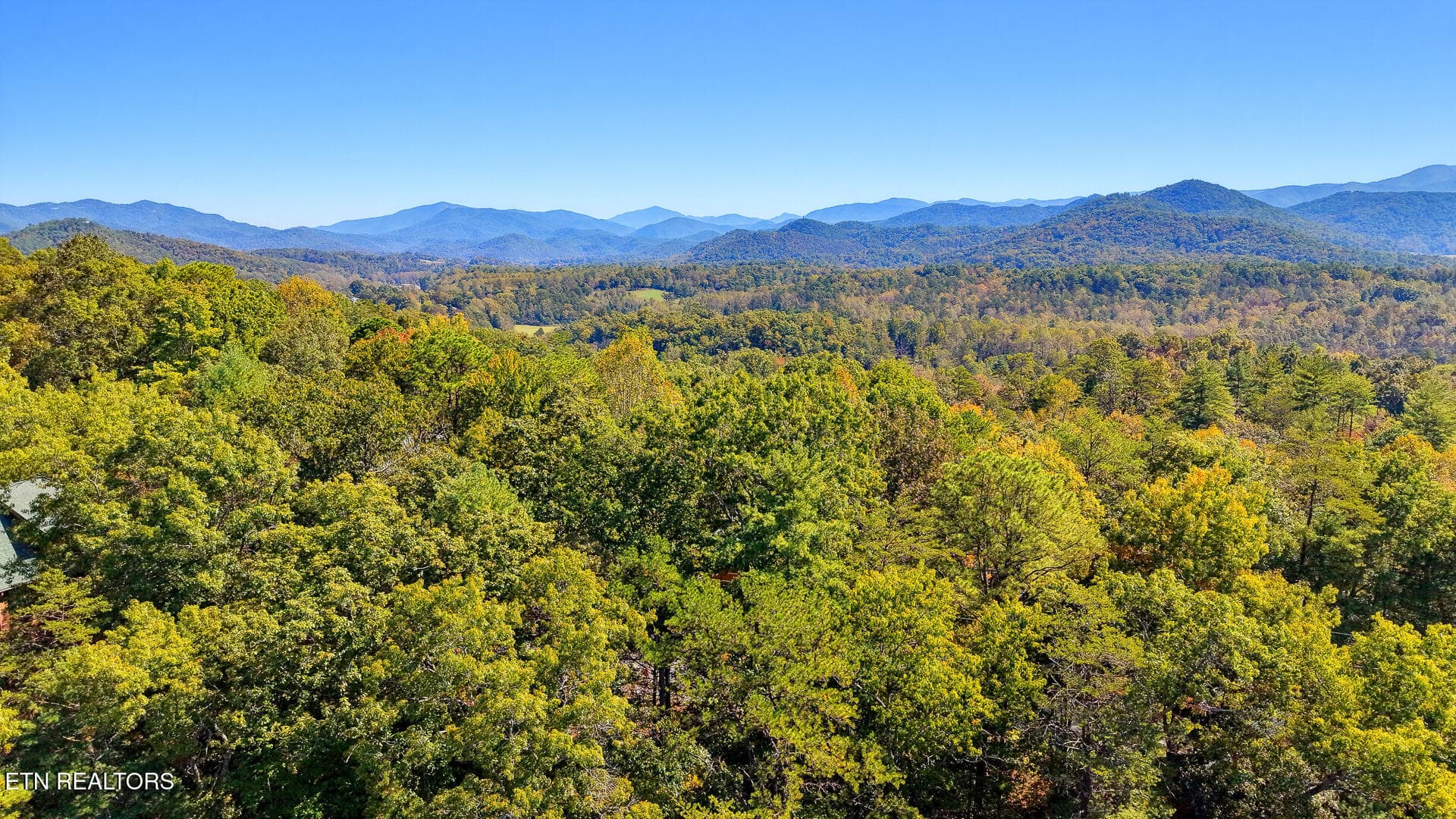 DJI_20261012125348_0098_D-2 - Tolliver Tr, Townsend, TN 37882, Townsend