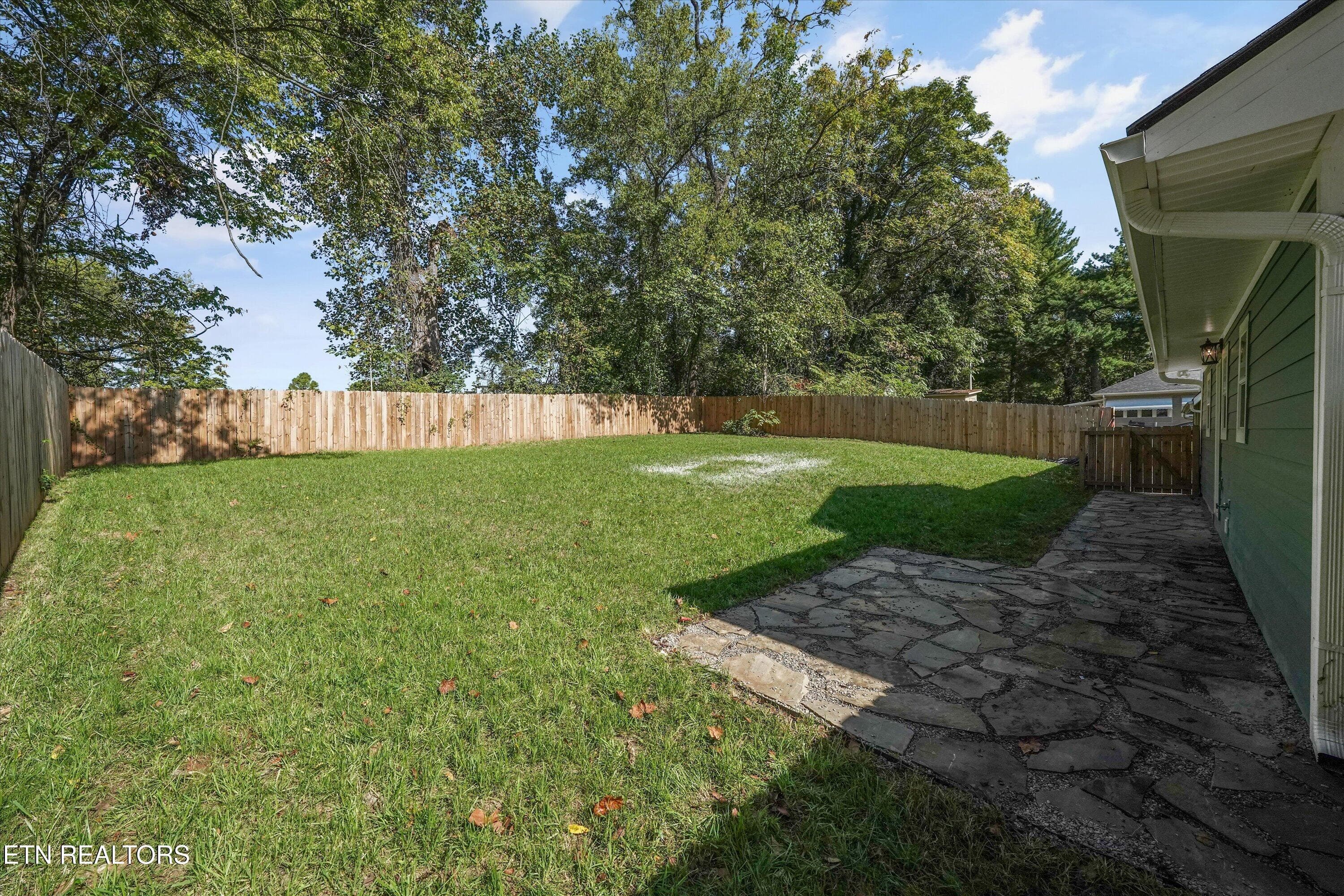 Back Yard - 1431 Branson Ave, Knoxville, TN 37917, Knoxville