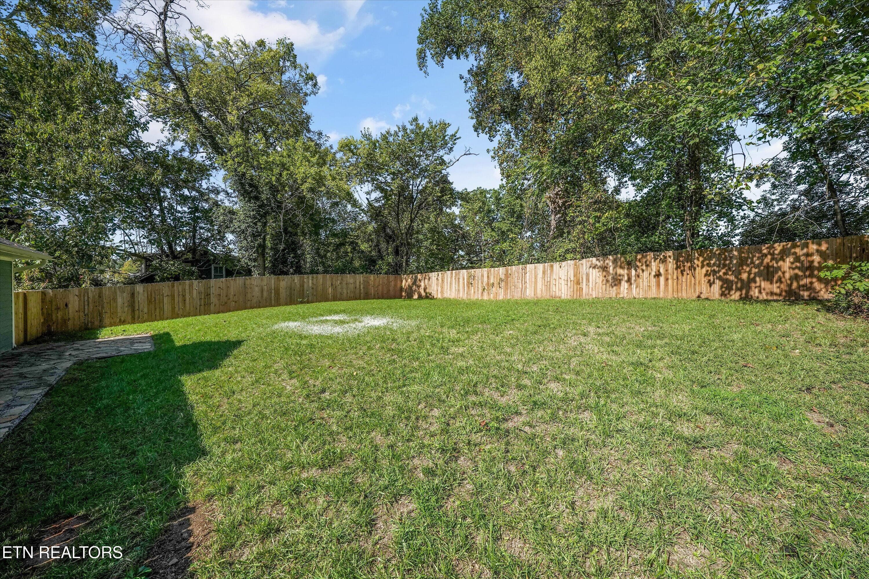 Back Yard - 1431 Branson Ave, Knoxville, TN 37917, Knoxville