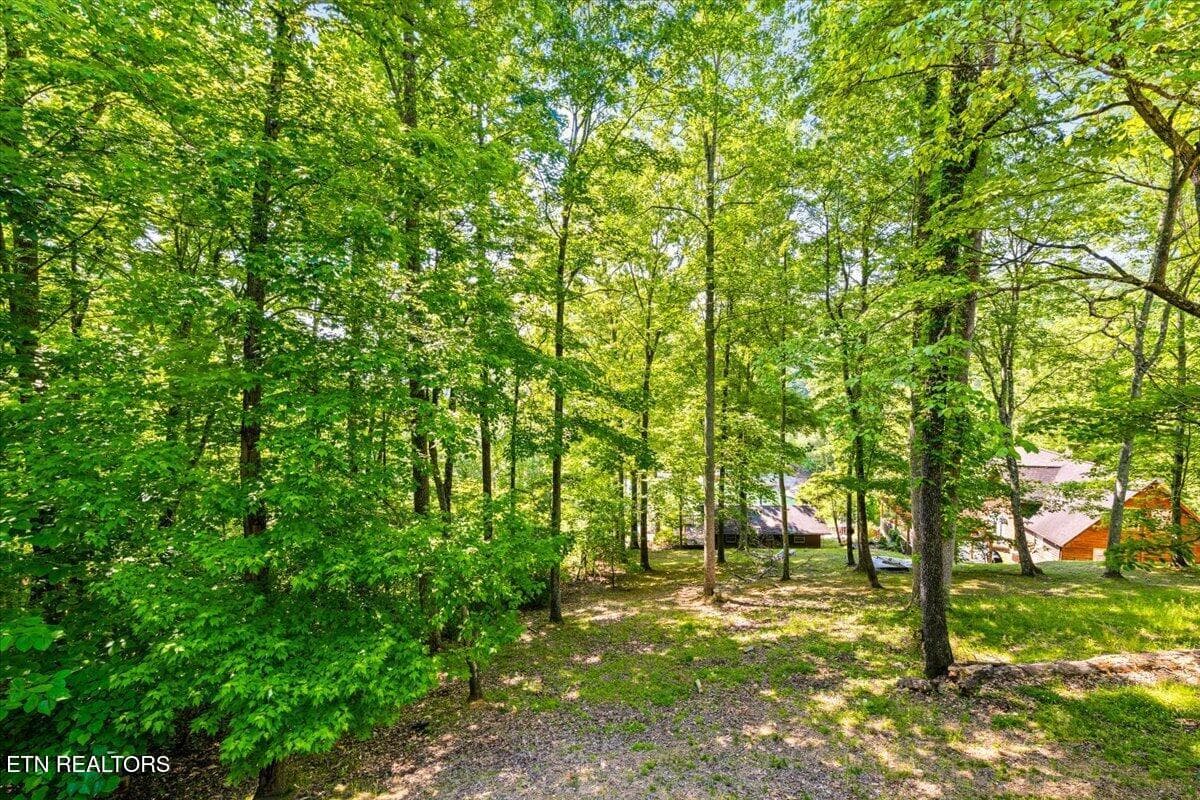 Yard - 264 Rain Valley Rd, LaFollette, TN 37766, LaFollette